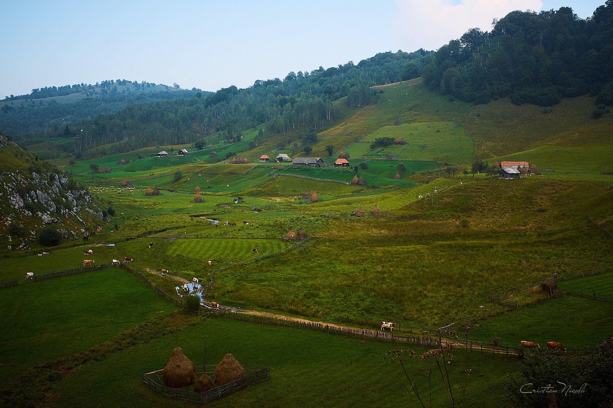 Fundătura Ponorului, jud. Humedoara. Pagina principală