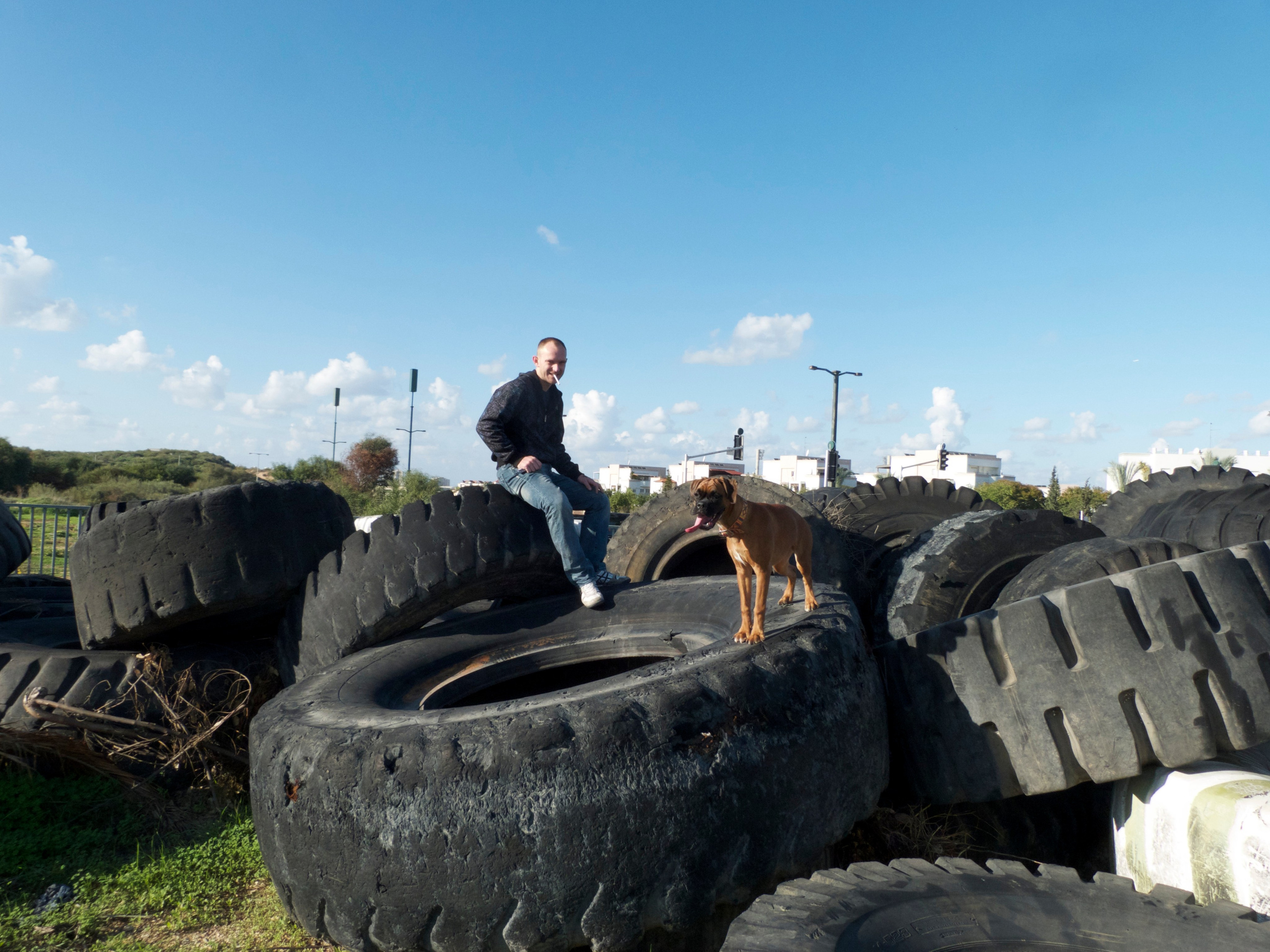 My ״Star״ Boxer Dog