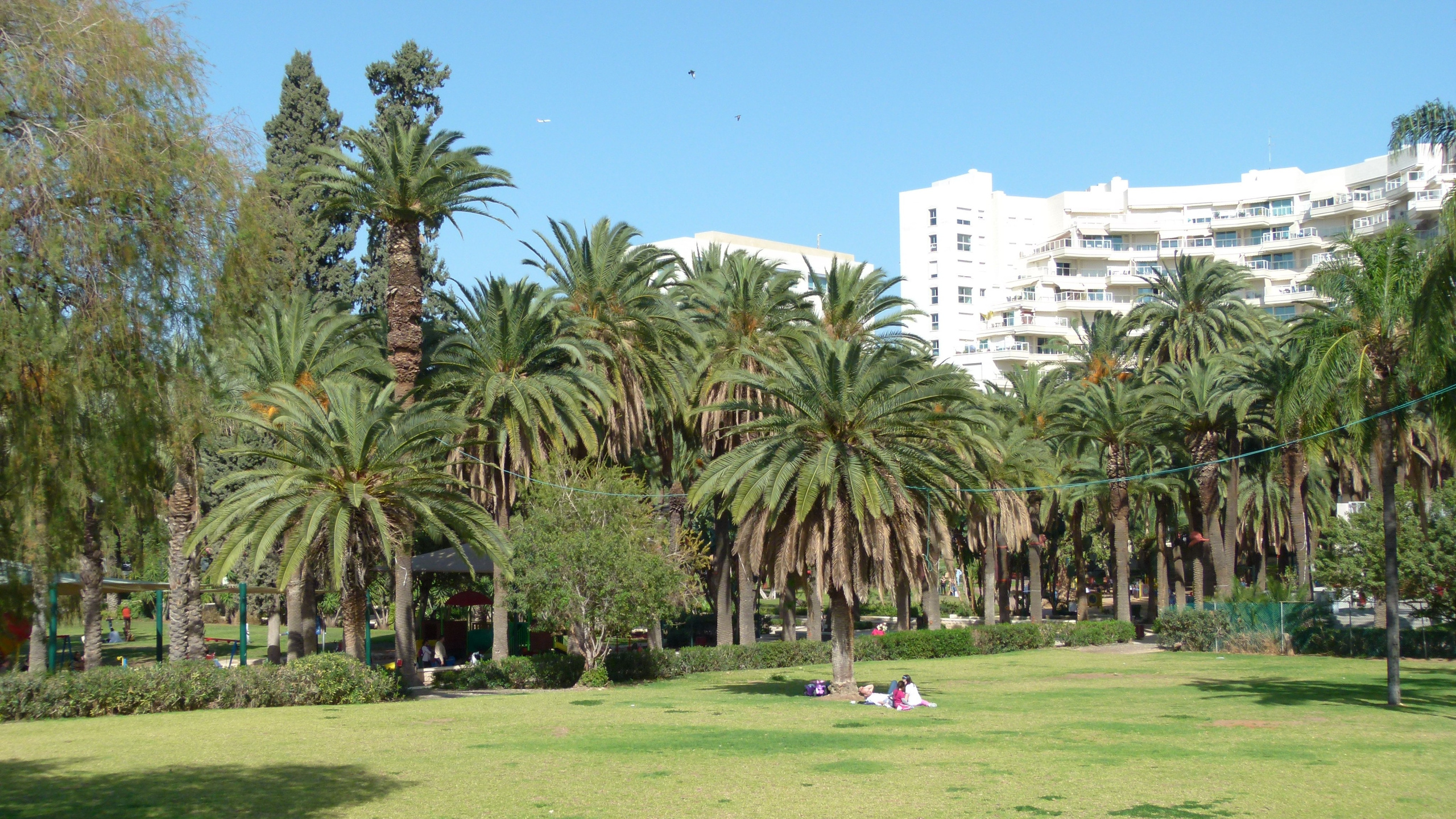 ISRAEL and beautiful people