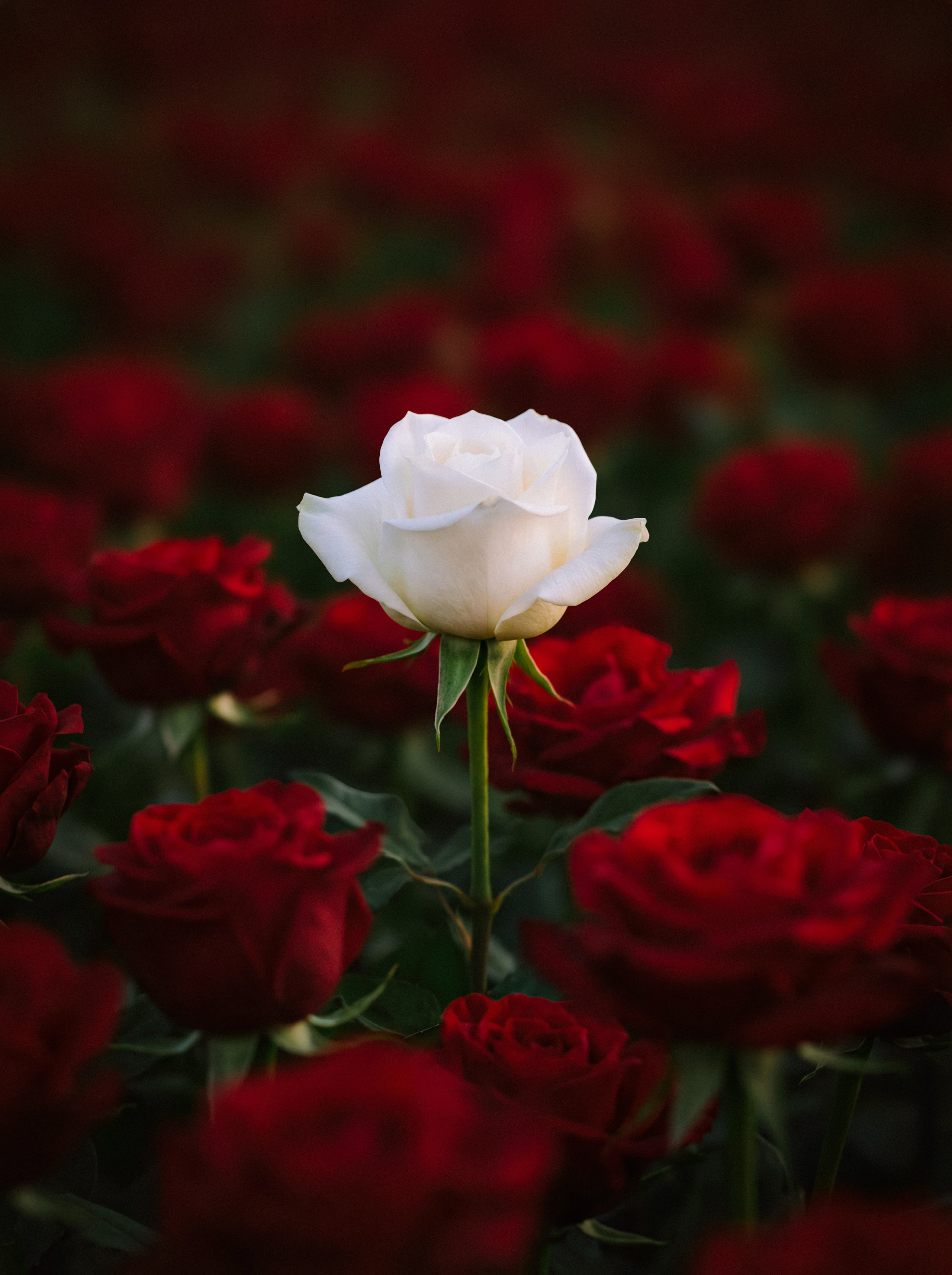 Photos of places around the World