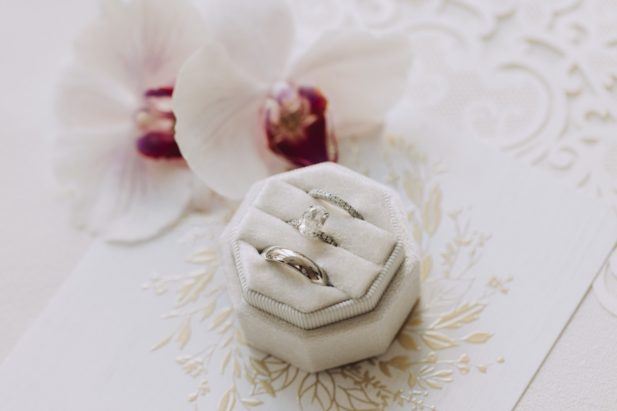 David and Lana. Wedding Photo & Video