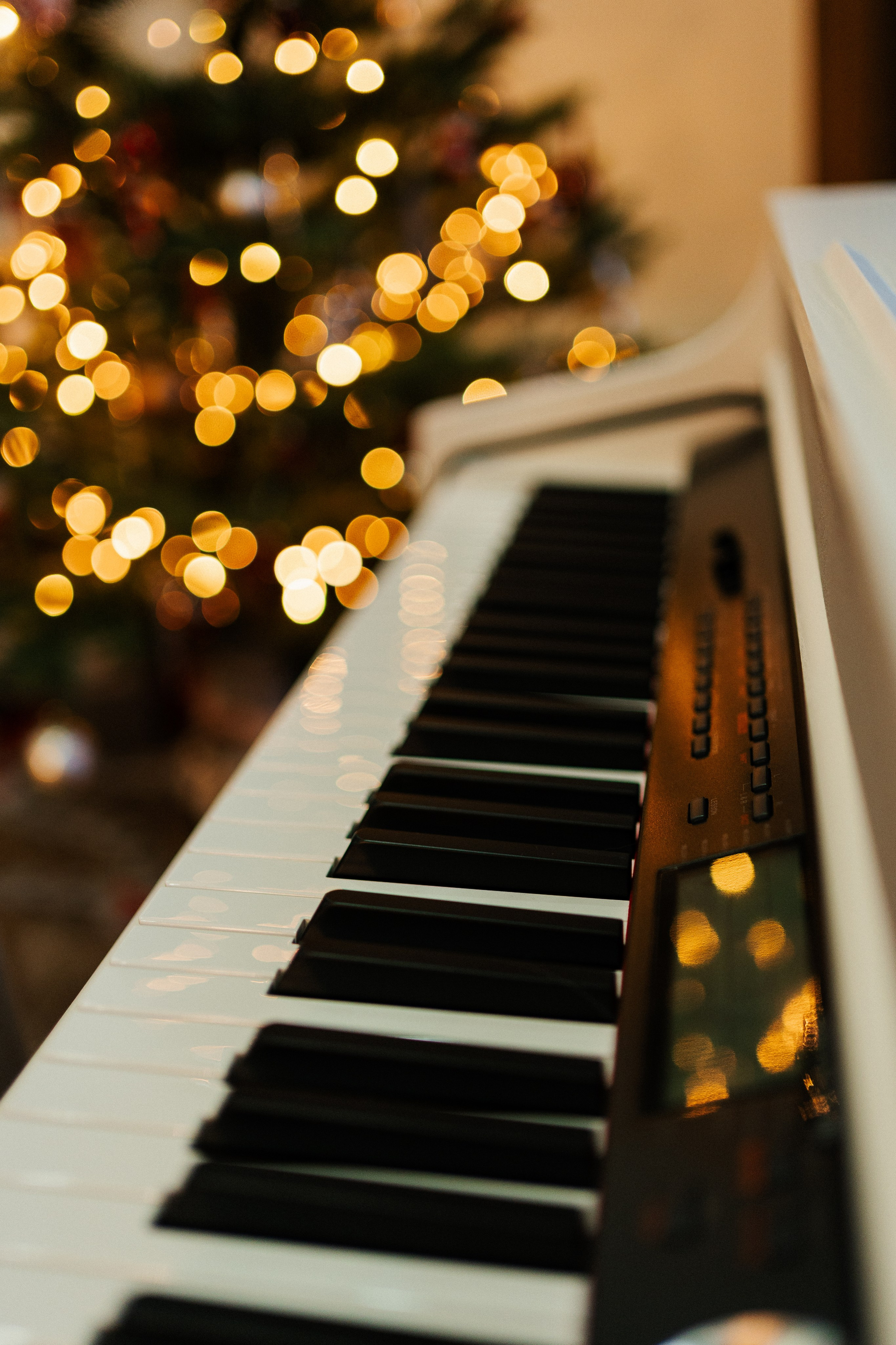 CHRISTMAS FAMILY. PHOTOGRAPHER|VIDEOGRAPHER MONTENEGRO