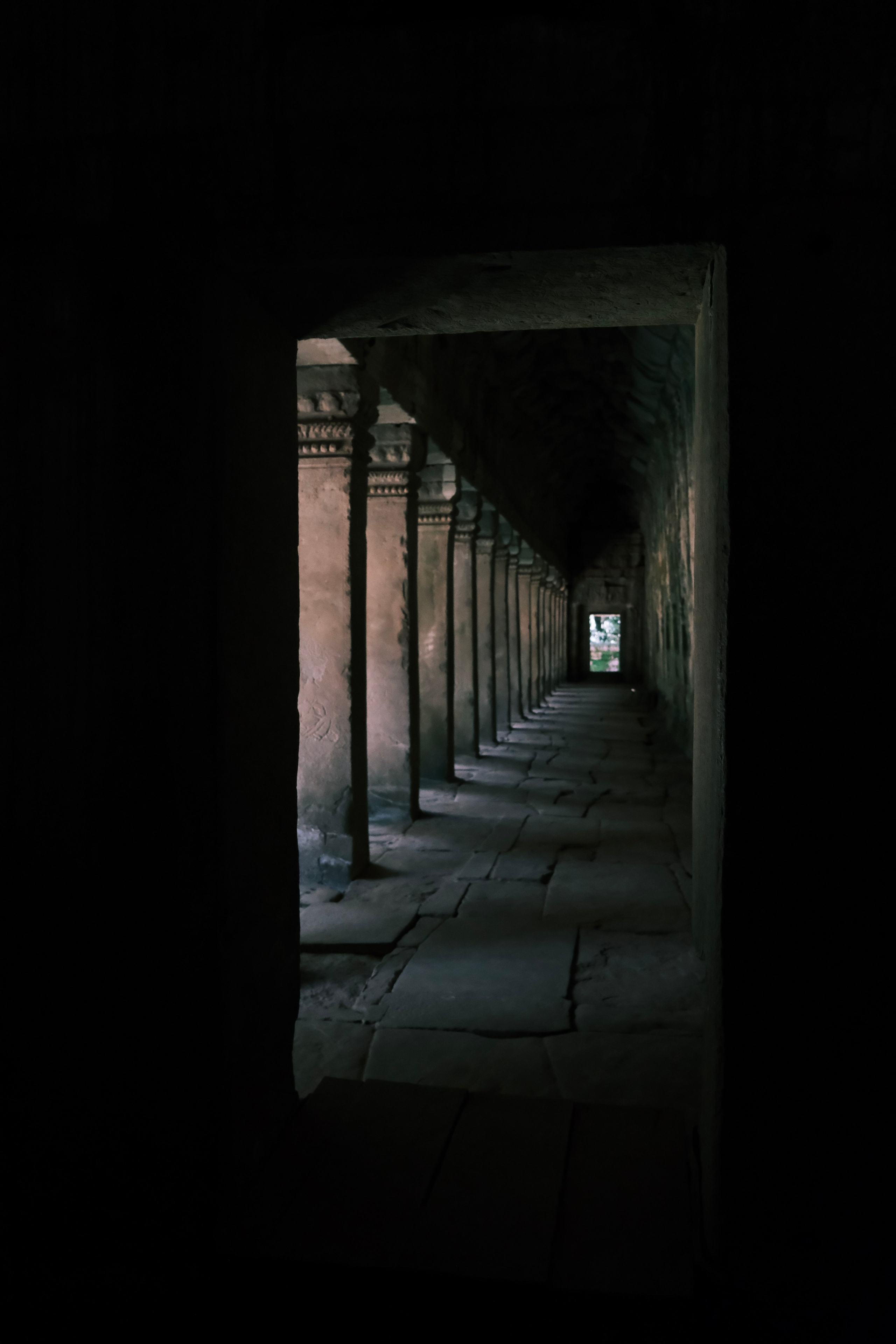 Photography. Fermented Solipsism artist & documentary photographer in California