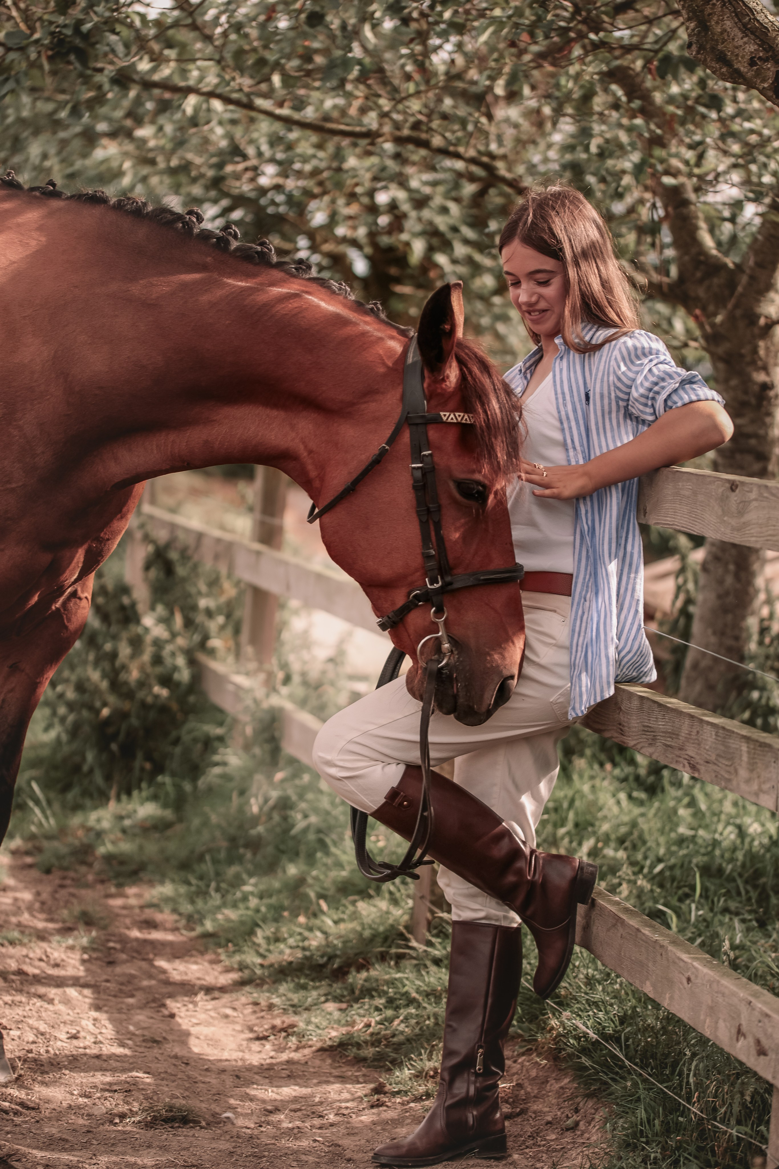 Among the Horses. Photographer Co Dublin, Balbriggan — Agata Maliseva