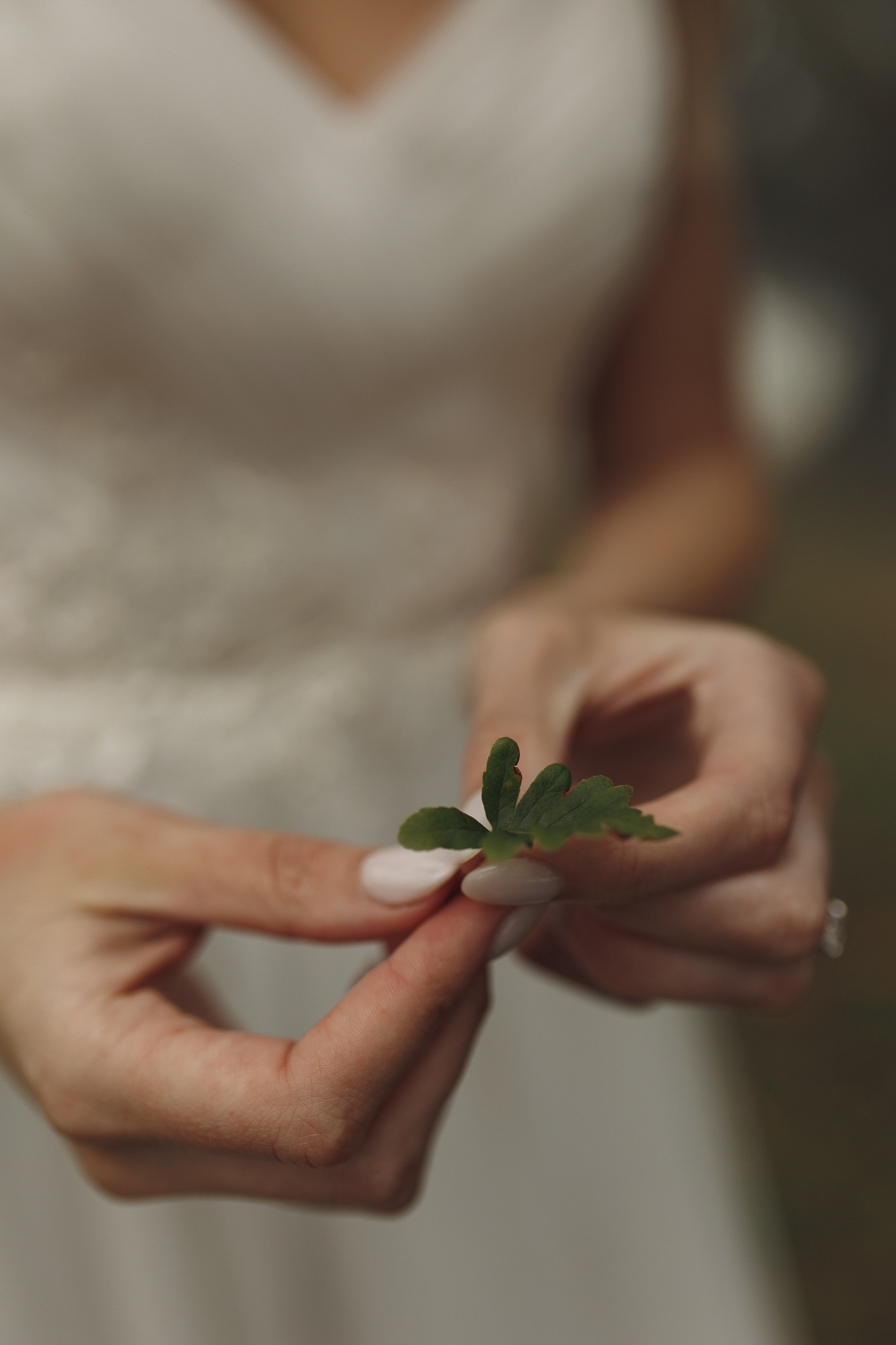 Elopement in Madeira | Mystical Forest of Fanal. Wedding photographer and videographer based in Timisoara, Romania