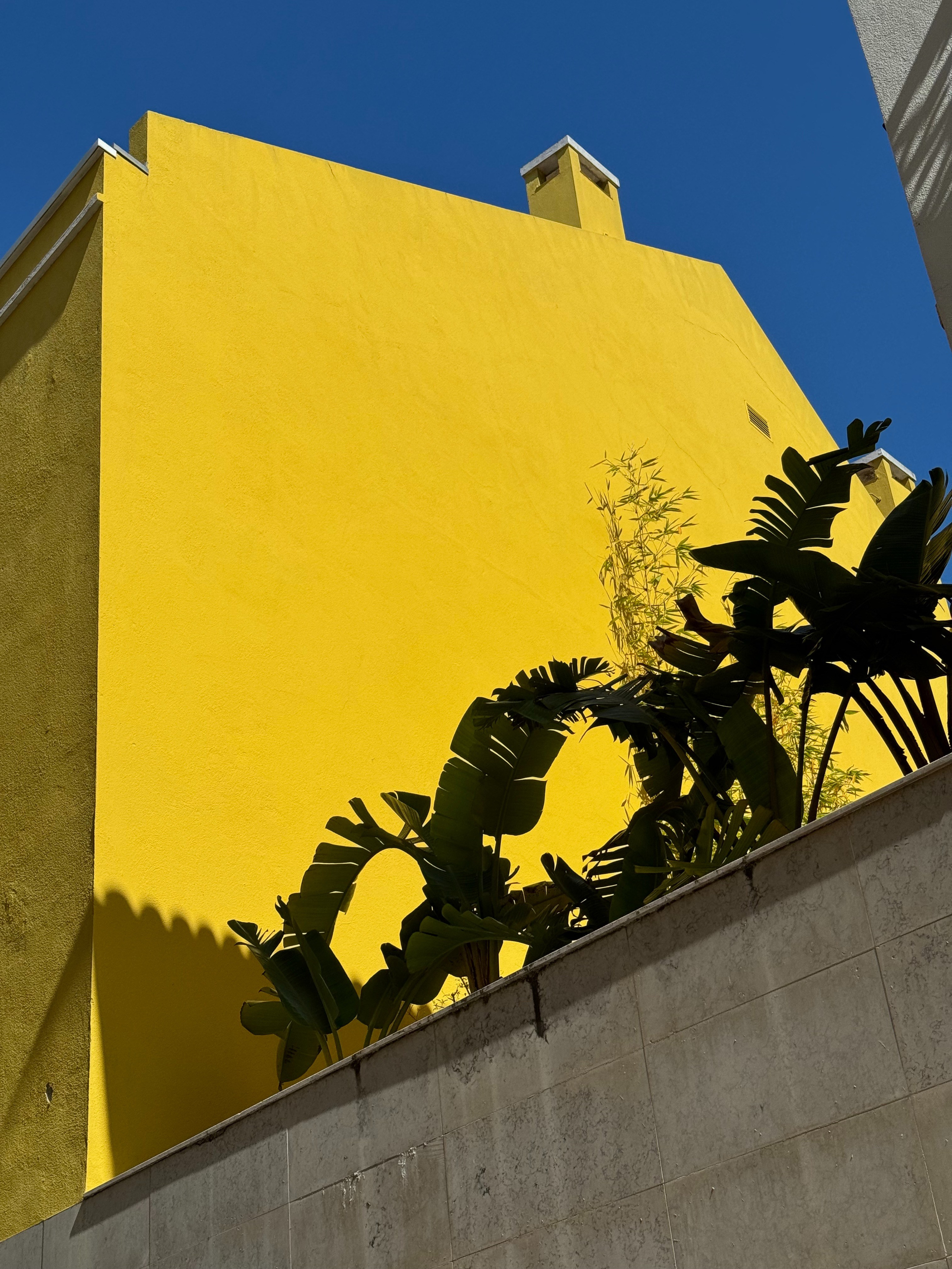 Работы Марии Шер. Sher.SCHOOL