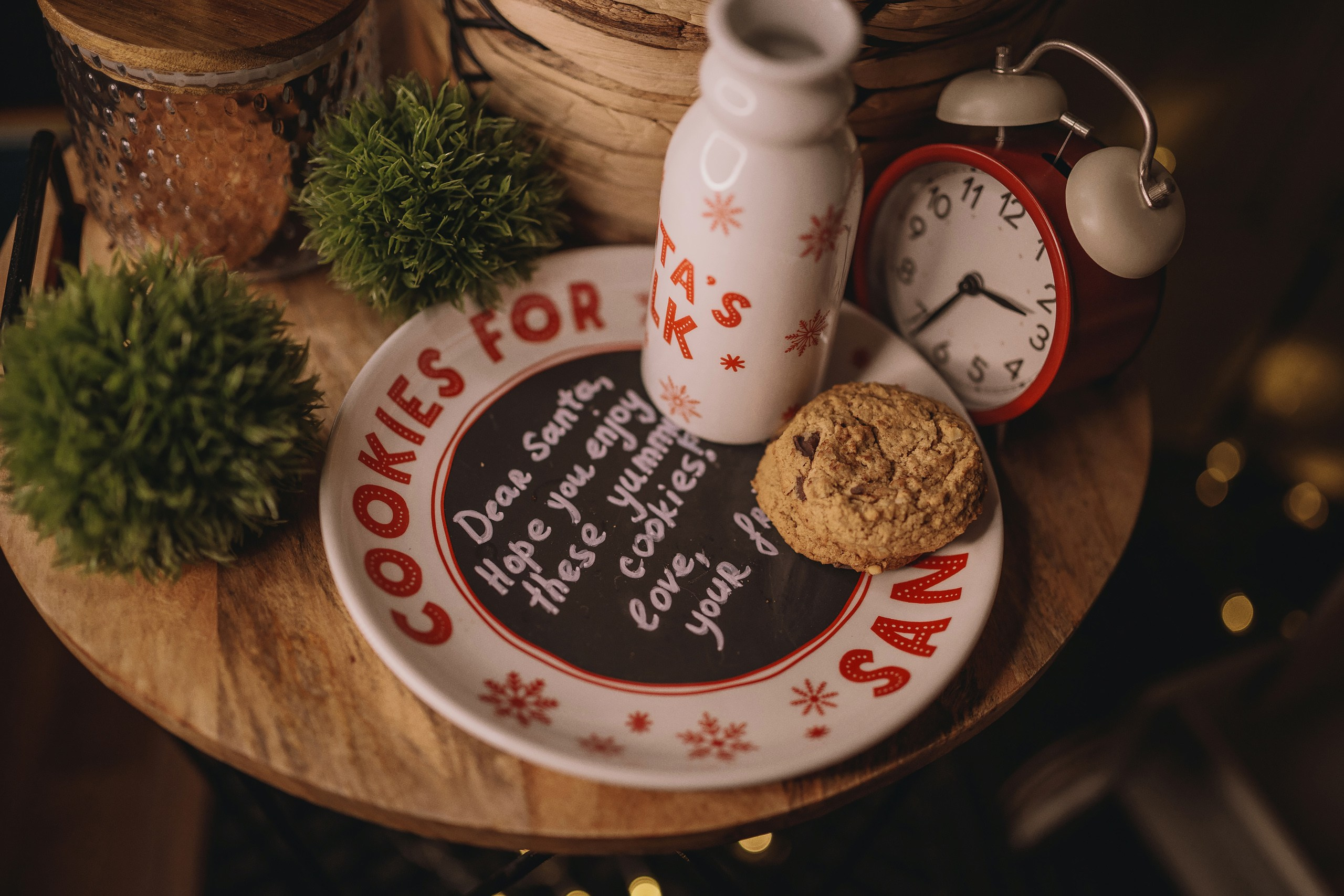 11.28.2025 Christmas Photoshoot. Wedding family event photographer in Chicago Nick Yushevich