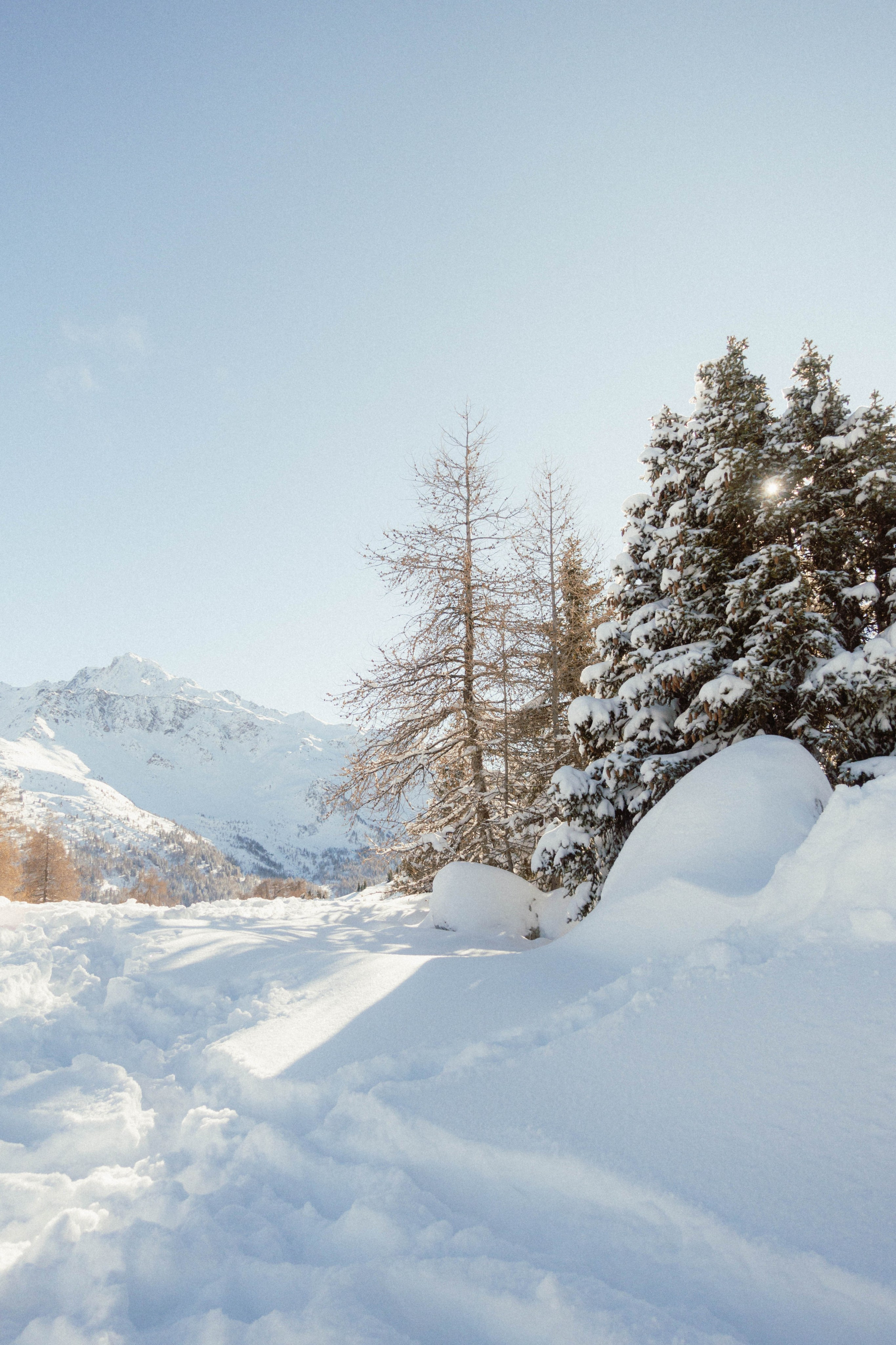 Ski. Weeding photographer / event / portrait
