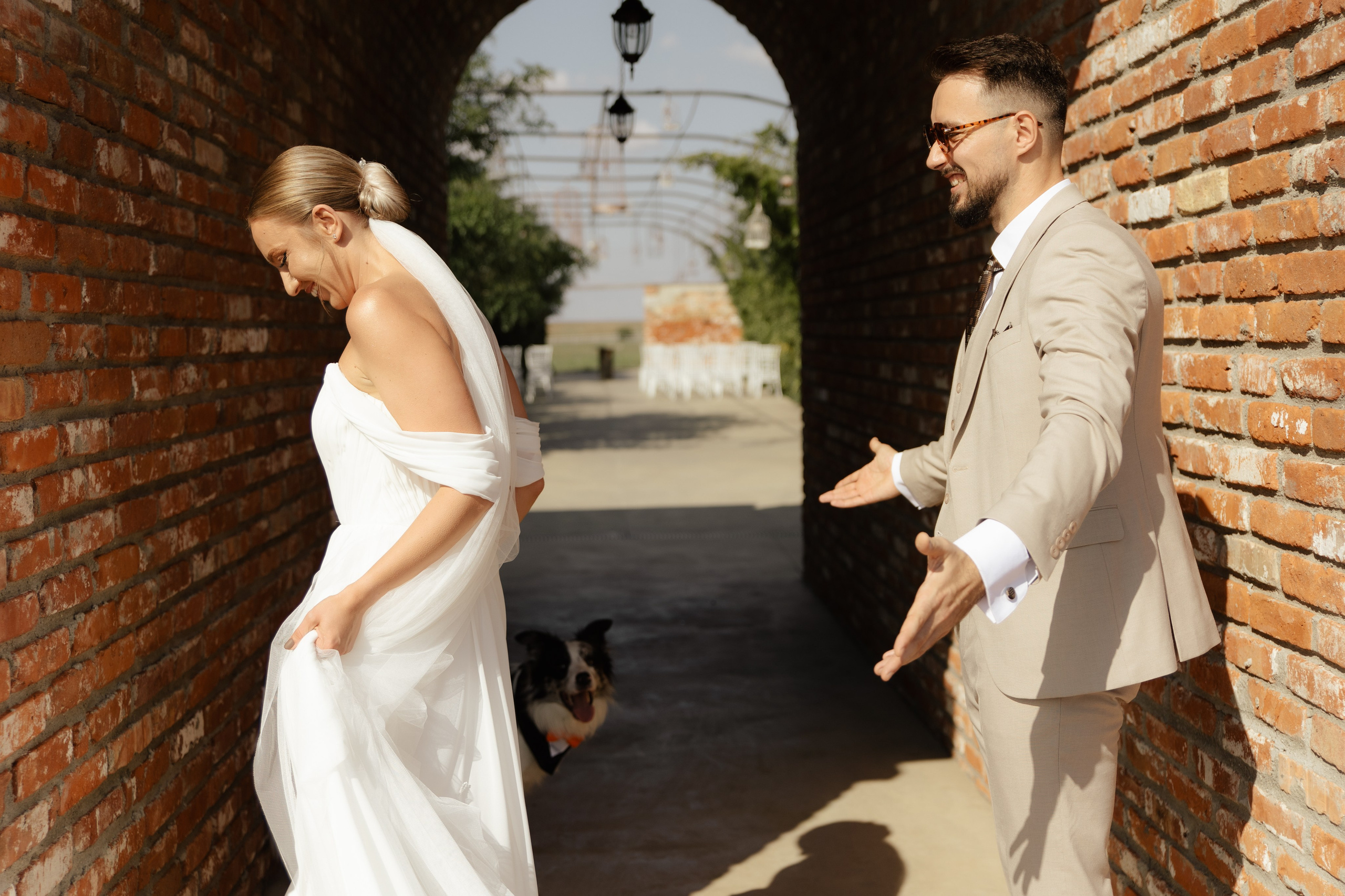 Wedding at Province Timisoara | Cristina & Robert. Wedding photographer and videographer based in Timisoara, Romania