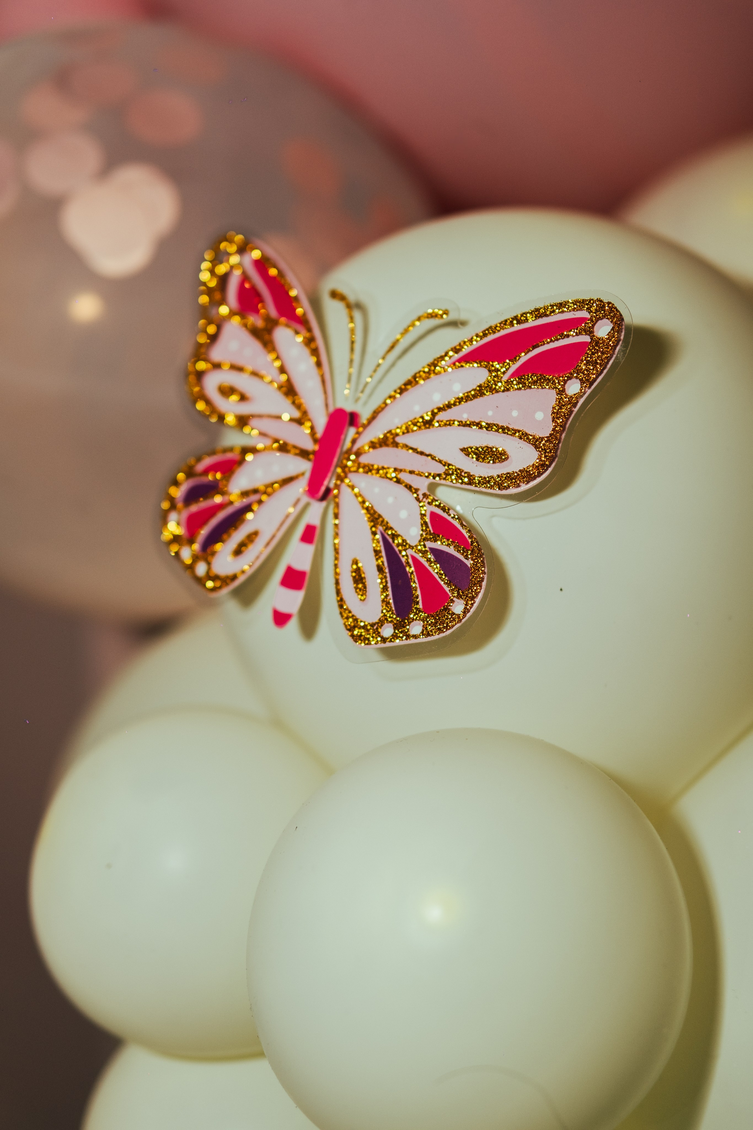 Foto per la festa. Grosu Photography