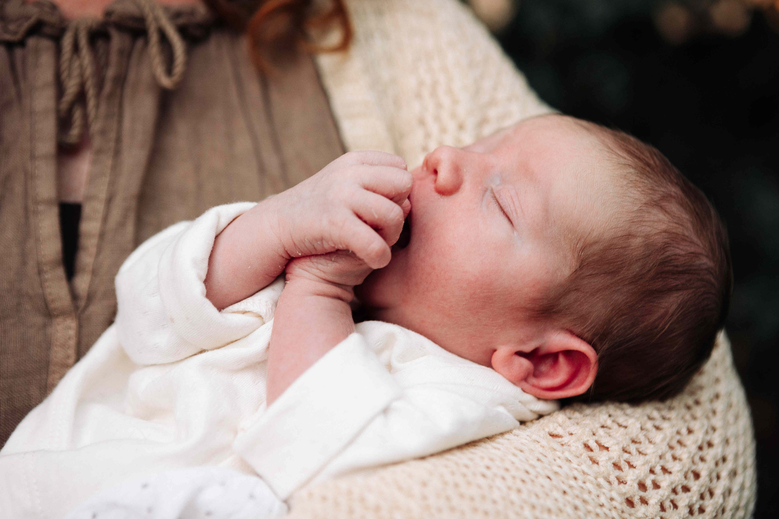 BRIT MILA IN NATURE IN JERUSALEM. Https://shi-photo.com/