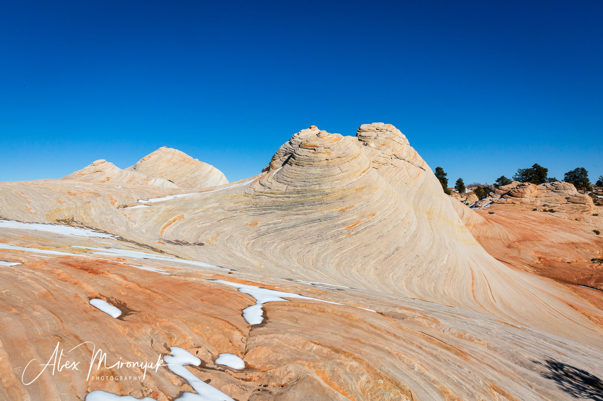 New Year In Utah. Pet, Senior, Landscape, portrait studio, photographer in Miami and Sou