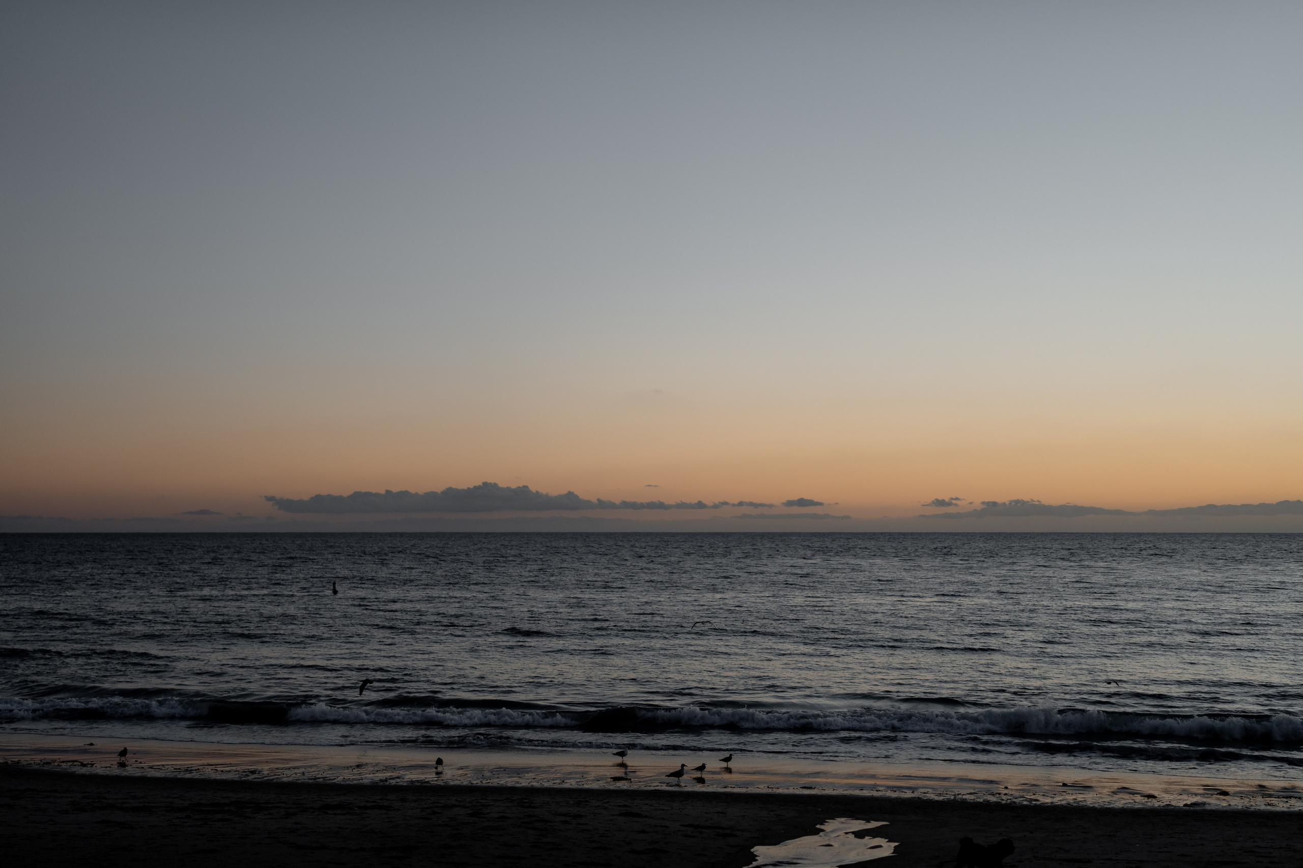 N & K. Orange County Wedding Photographer & Videographer | Candid & Timeless Wedding Photo + Video | Italiantsev