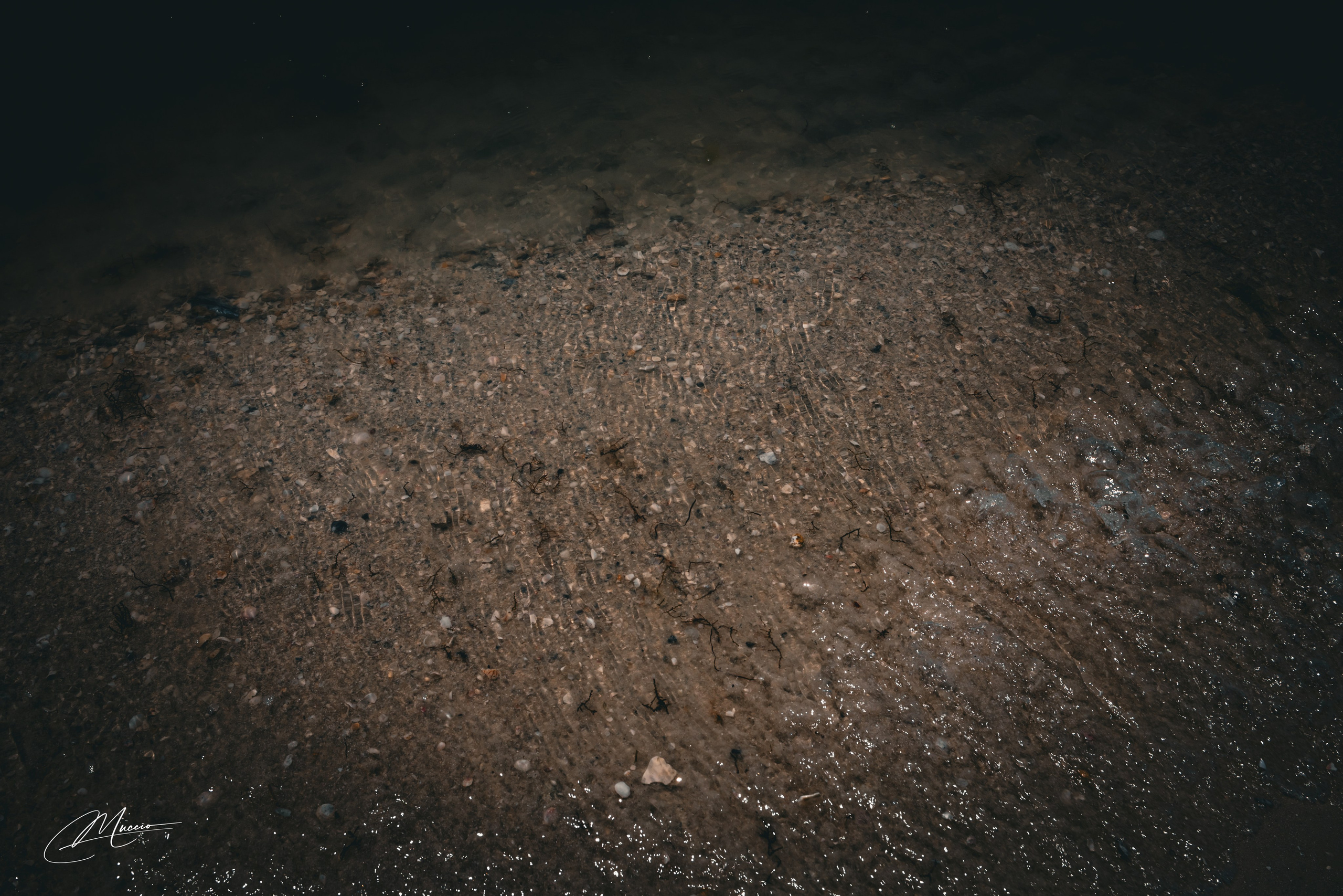 Florida Man — Fort Myers Walkabout. Out and About 239