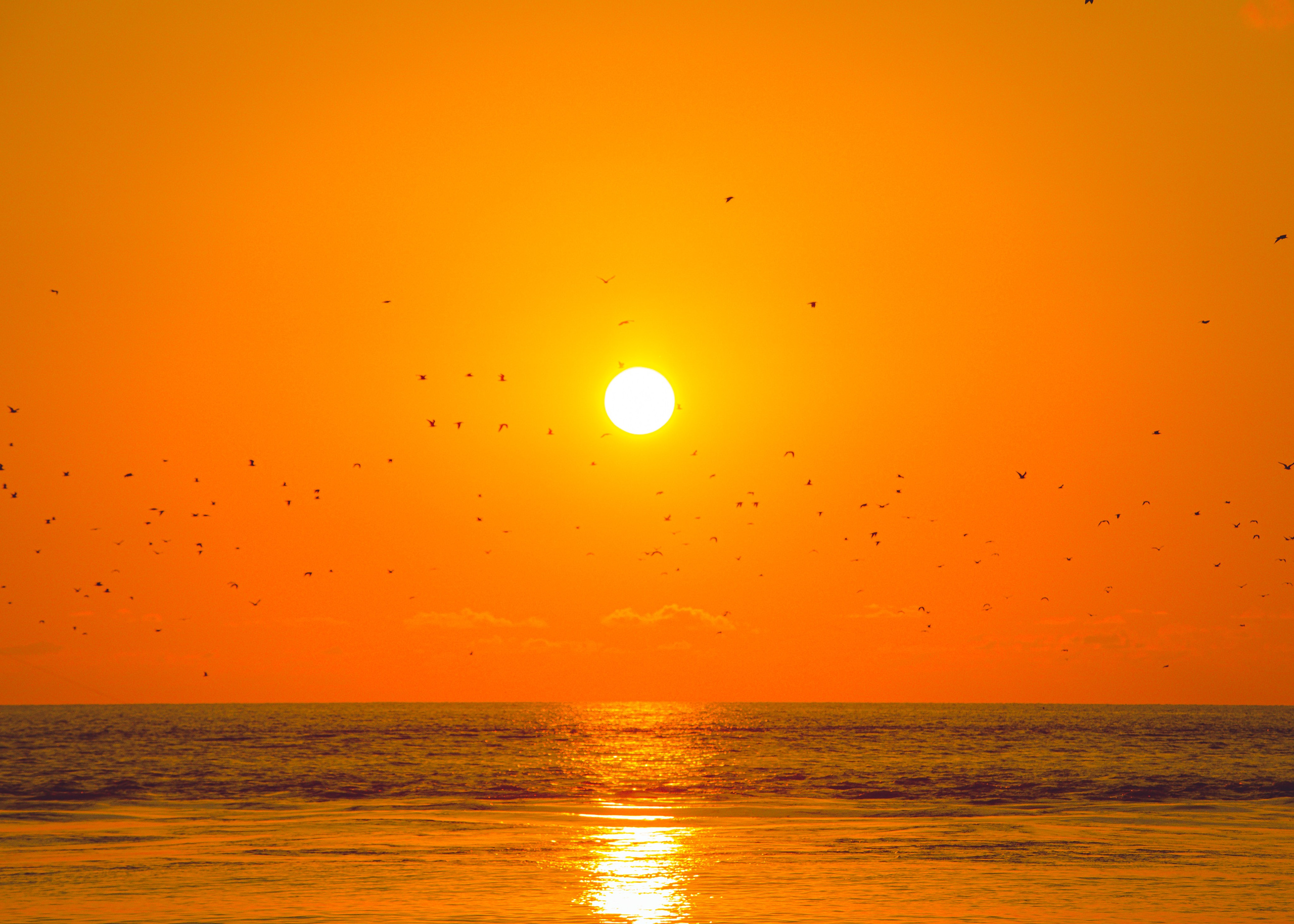 Urban. PHOTOSTORYNIKA