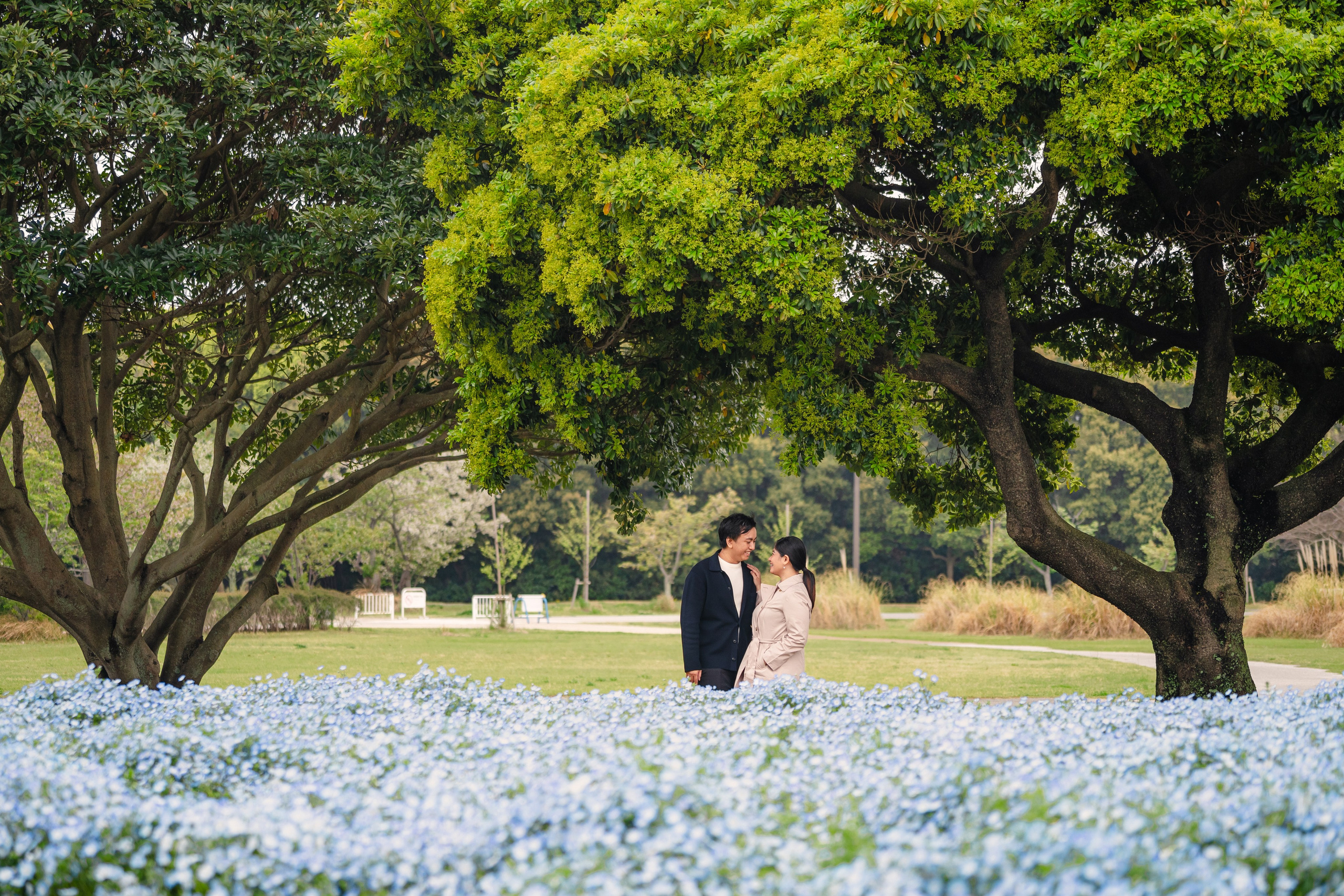 Nemophila Flower Photoshoot Uminonakamichi | Korean Drama Style Portraits Fukuoka. Portrait Photographer in Fukuoka, Japan | Alina Nazarova