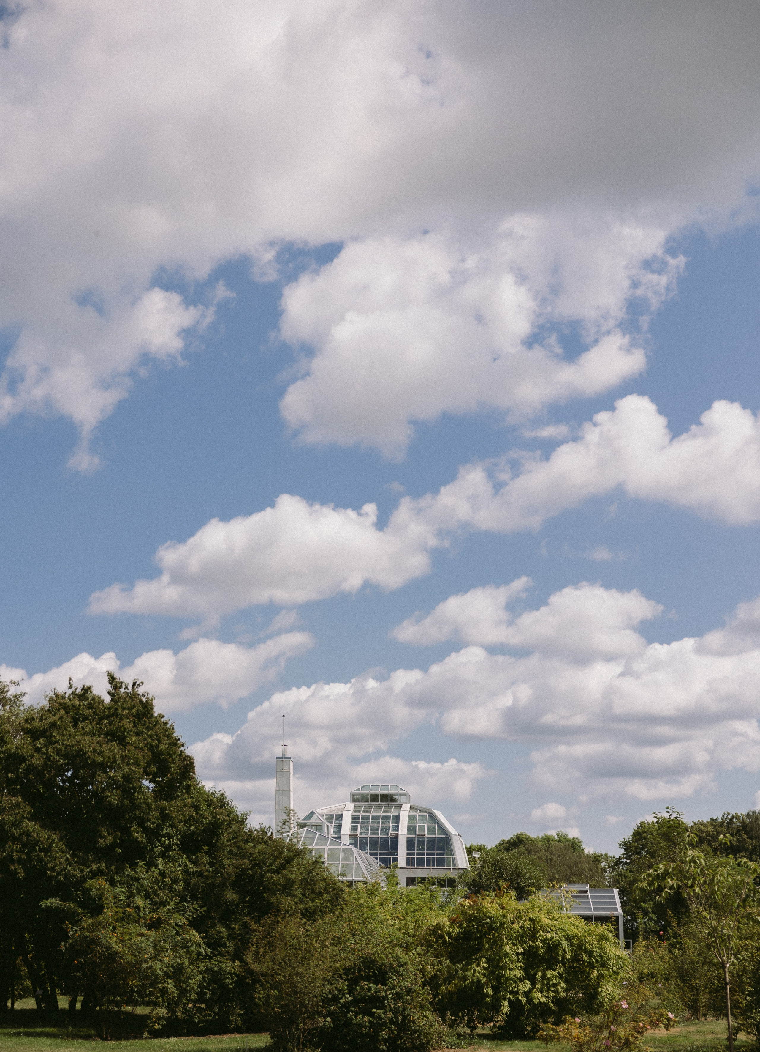 Ieva ir Martynas | Vestuvės Kauno botanikos sode. Vestuvių ir šeimų fotografė Lena Bondarenko / belove photo