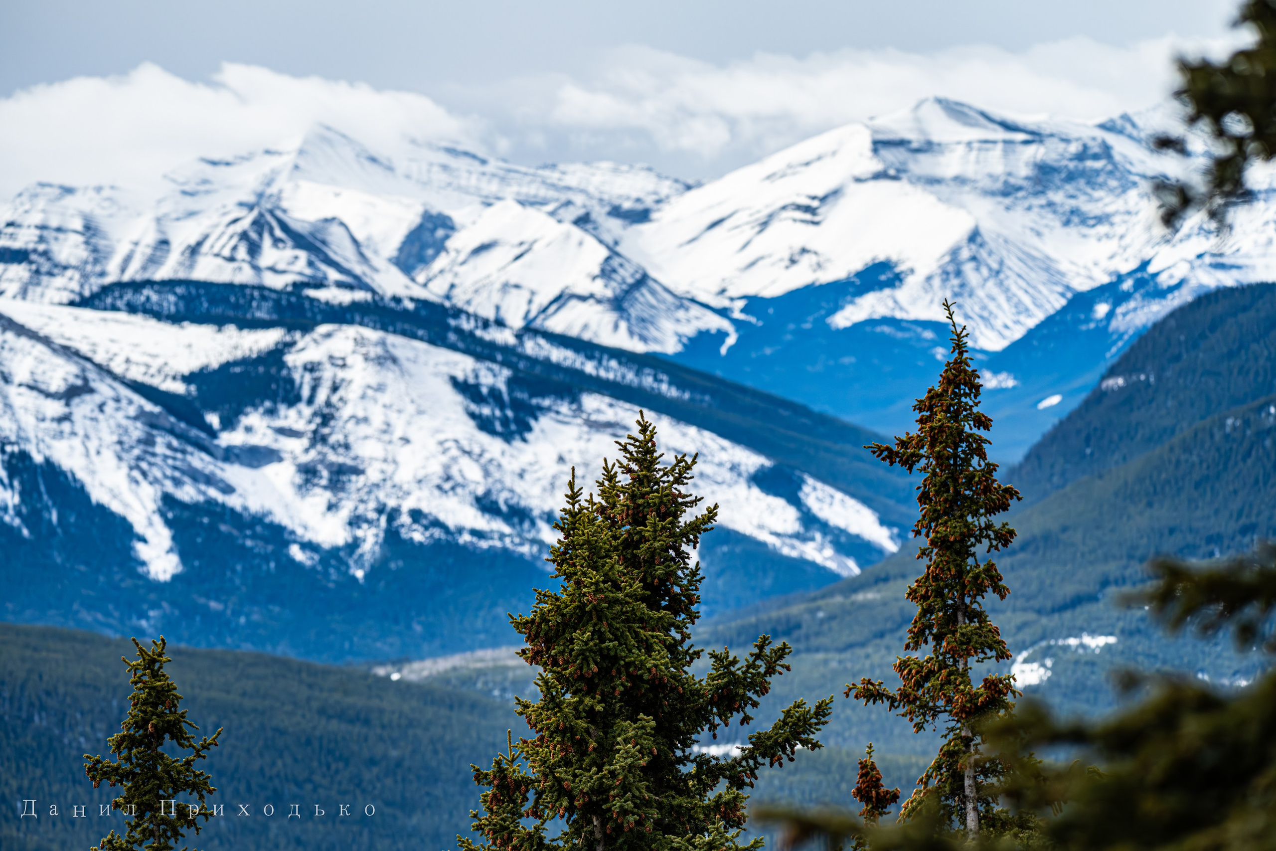 Danil Prikhodko Photography