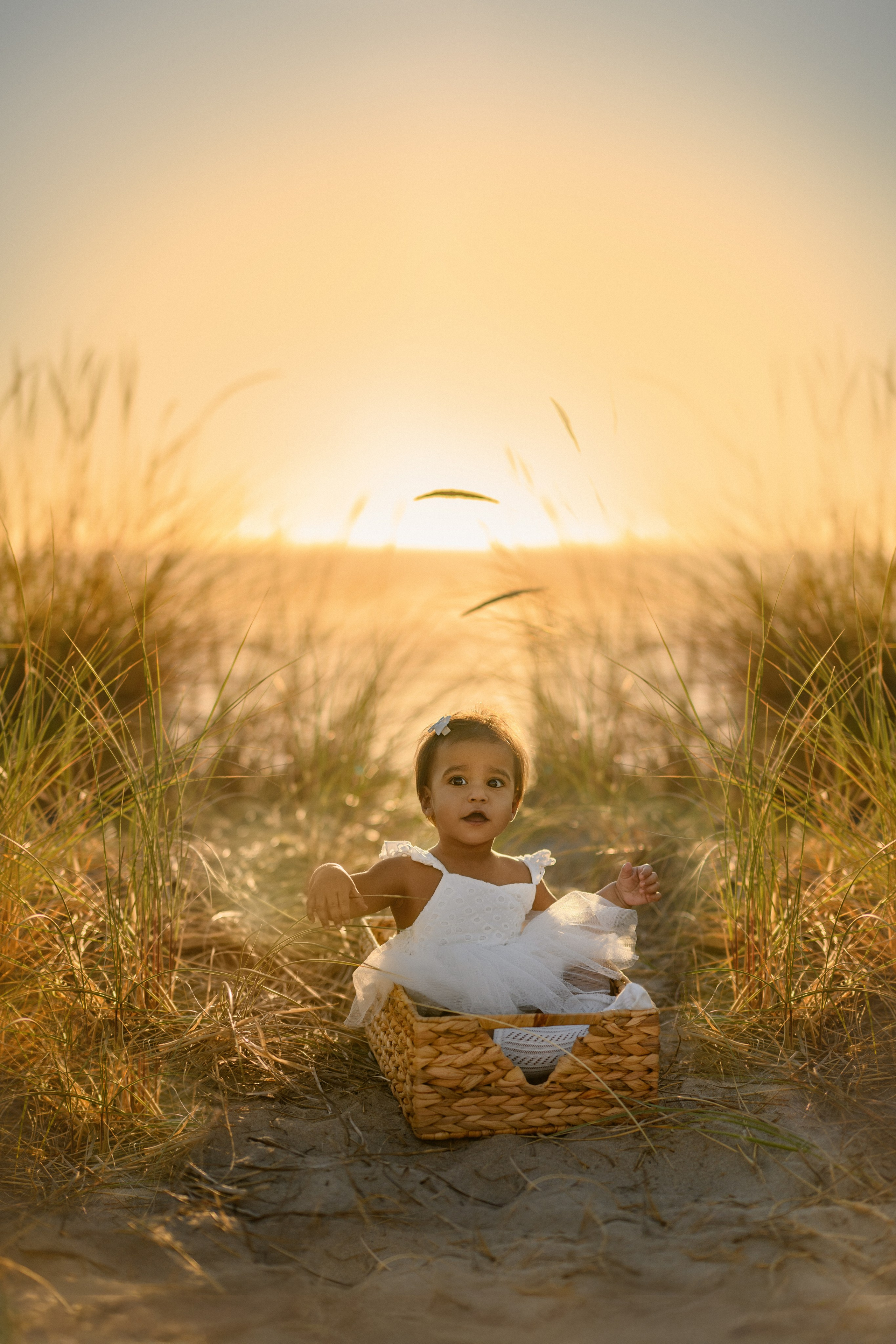 Praveena’s family. Wedding & portrait photography in the Seattle Area. Helen Michelle photographer
