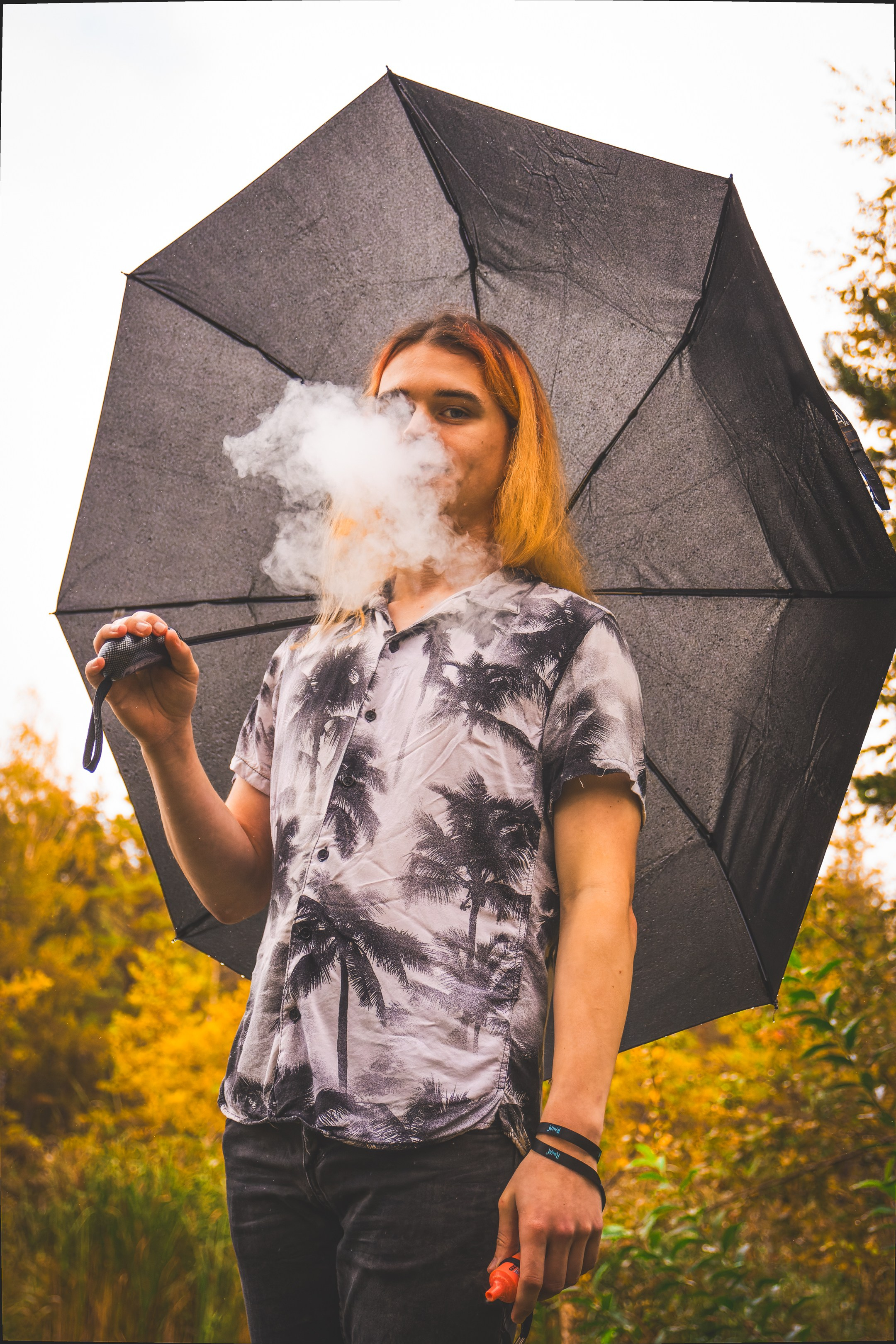 Mets, vihm ja jahedus (Dimitry). Nebula 25 — Fotod teie hingele