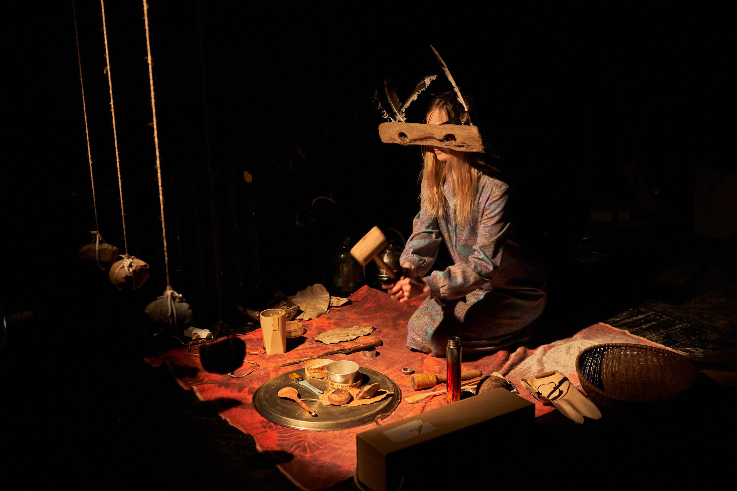 Forest. Mushrooms. Singularity Film