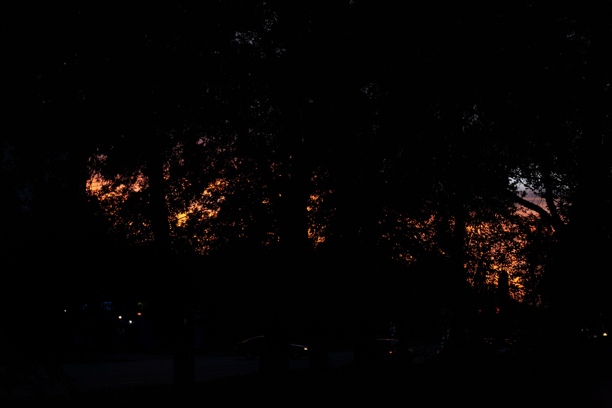 EXHIBITION. Lero Photographer and a set designer|individual custom portrait and advertising photography in Zutphen