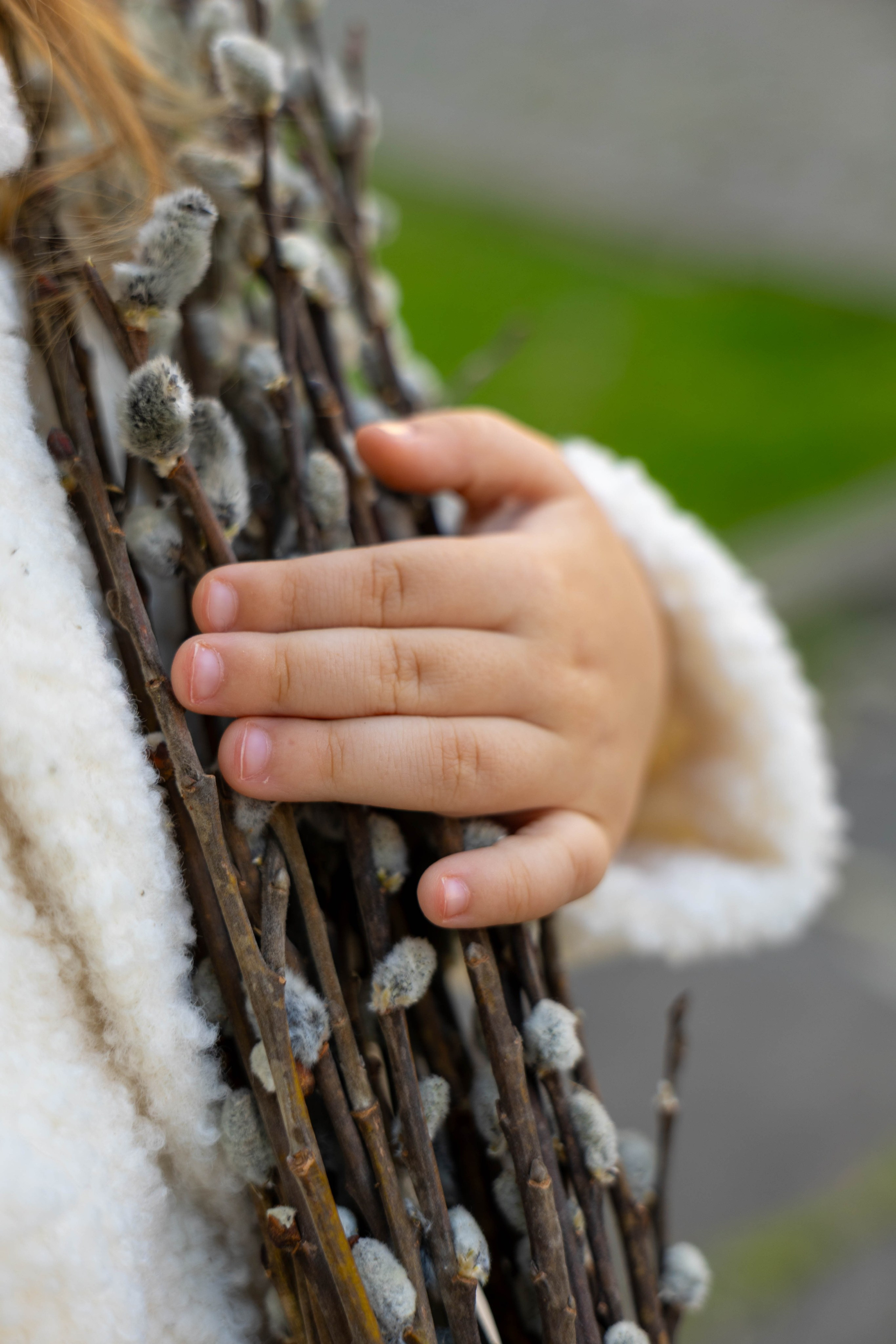 Фотосессия ребенка в вербное воскресенье. Семейный фотограф в Кишиневе, Молдова Врабий Ольга