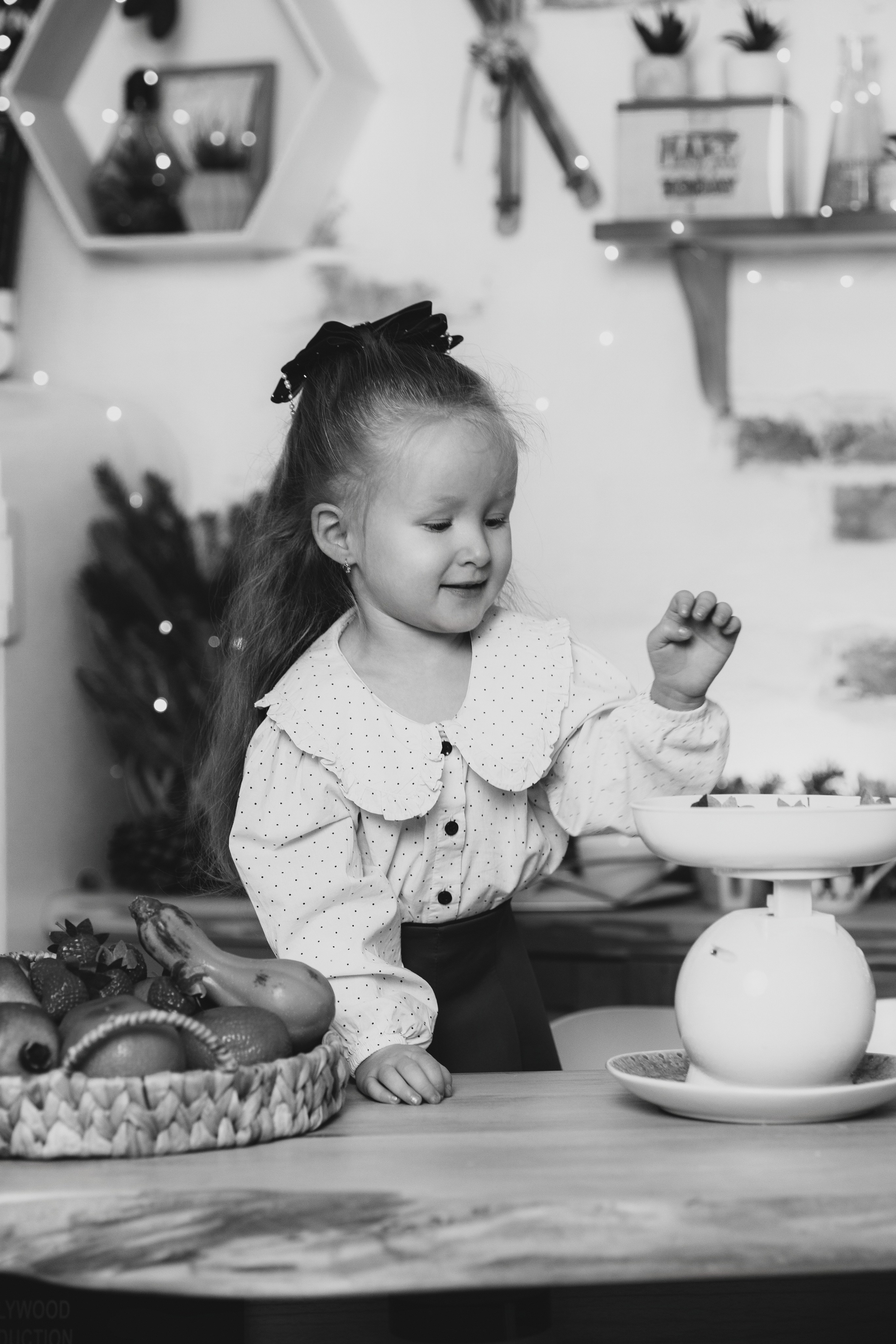 Familia Vizir. Fotograful evenimentului tău