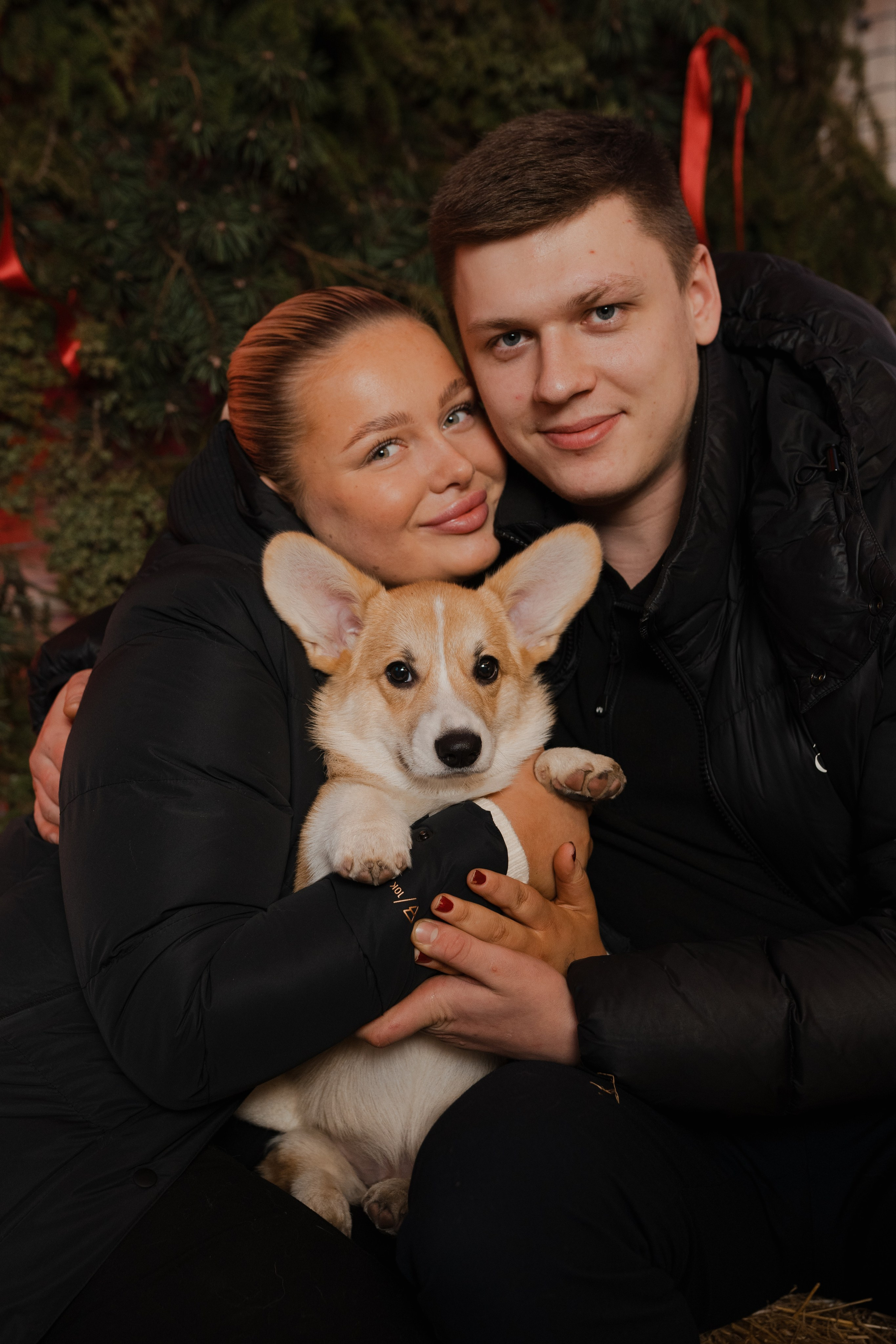 Corgi fest. Event Photography