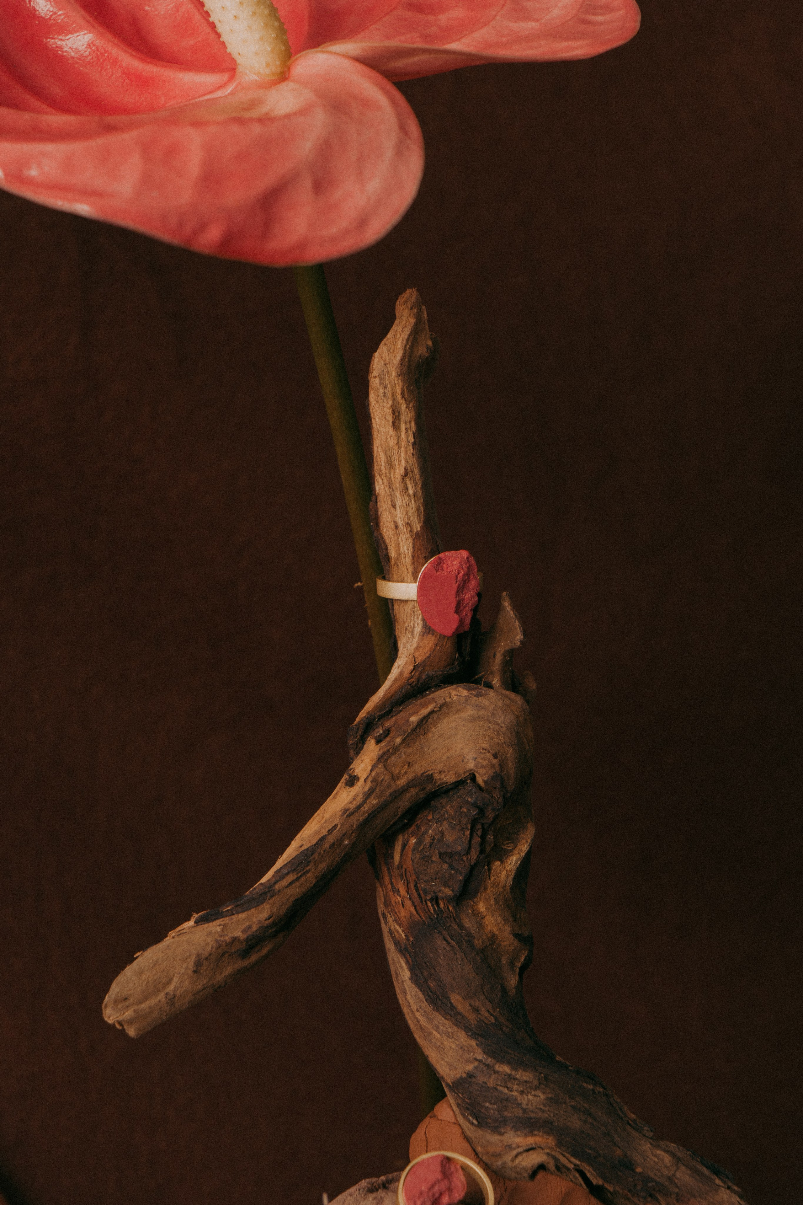 Joyería Lifestyle Barcelona: Fotografía de Marca DSNU. Creador de contenido visual en Barcelona | Dima Kit