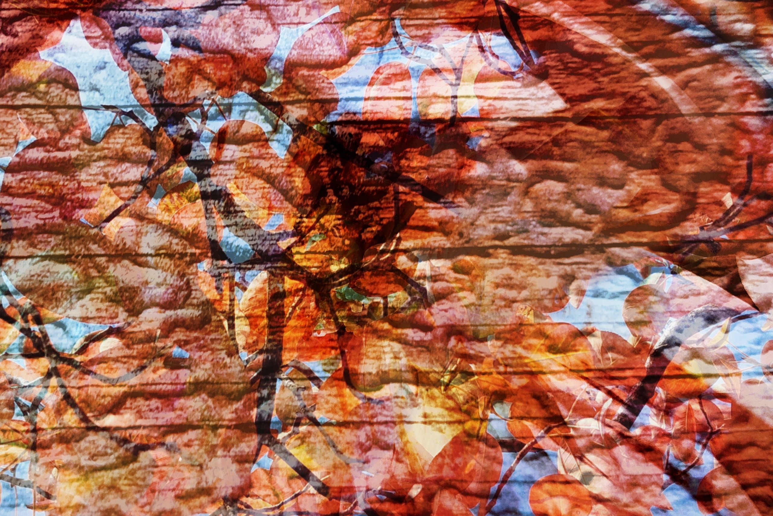 Продаж робіт. Photographer artist Liashenko Oksana