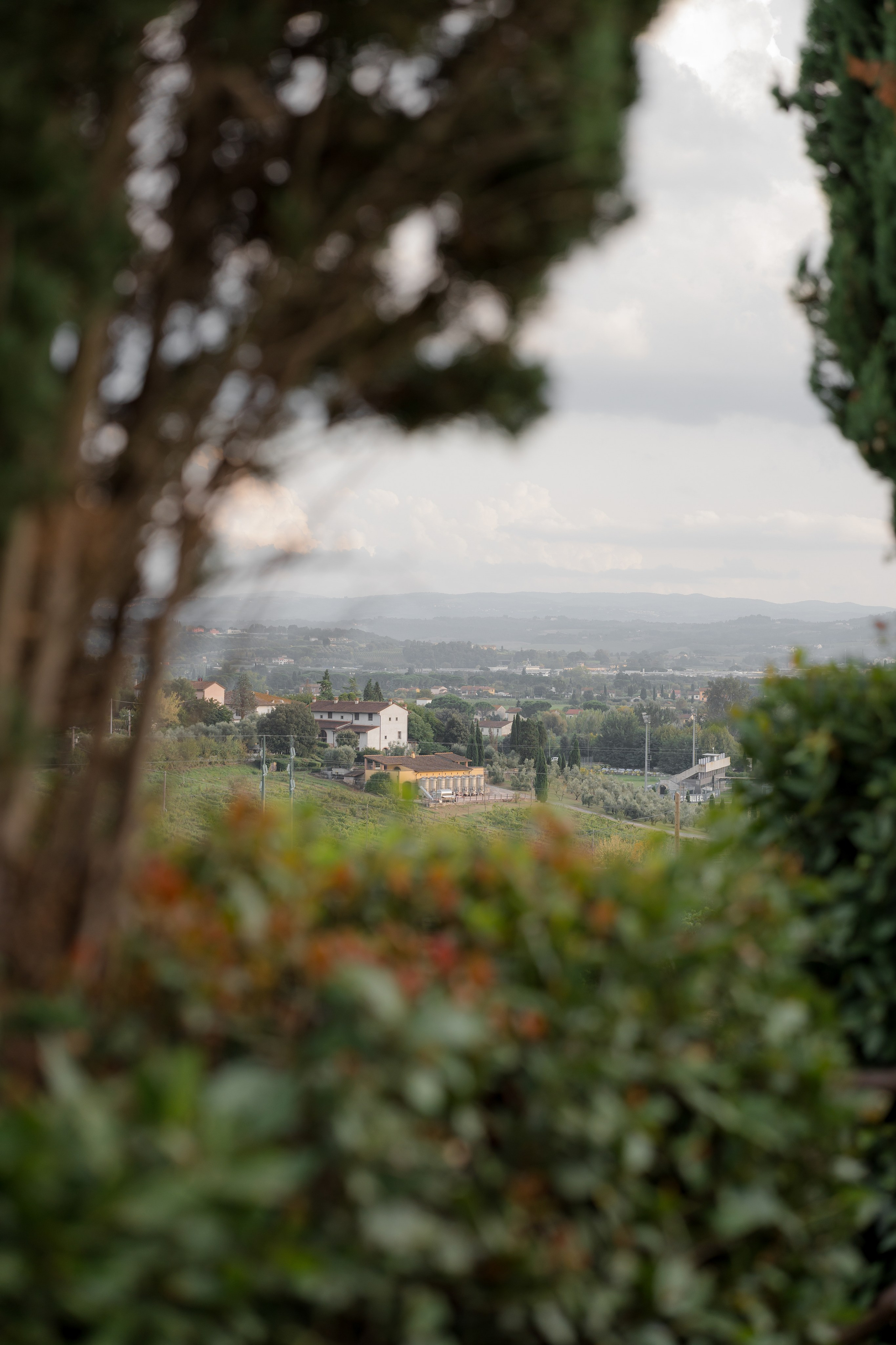 Dom&Ally. Весільний фотограф Вікторія Саврук