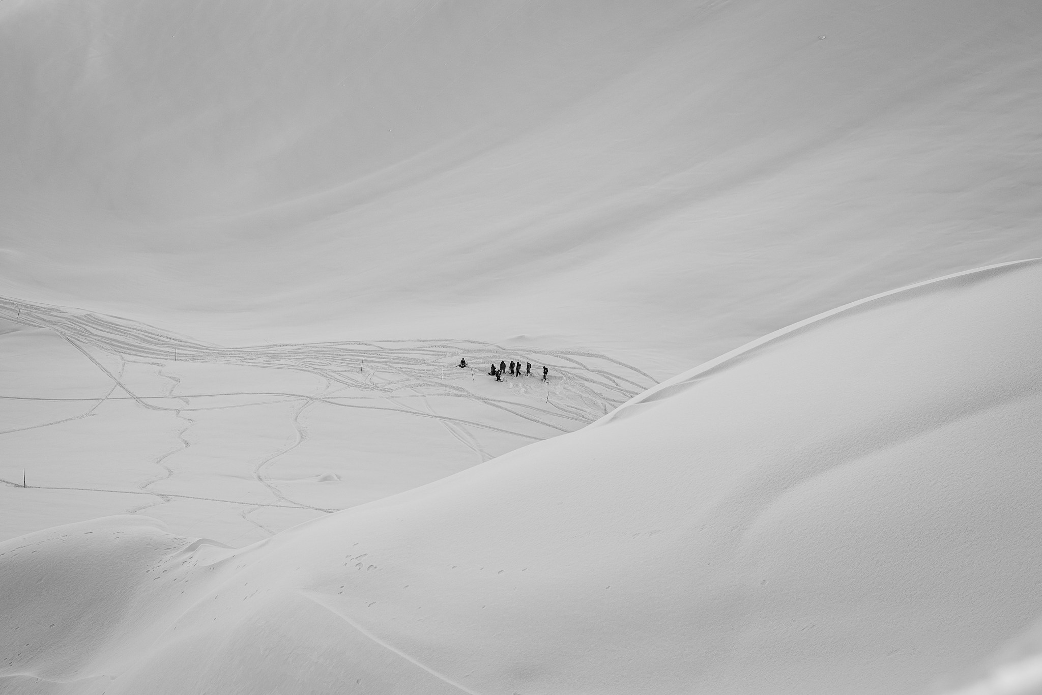 FWTQ. Merabi Eminashvili