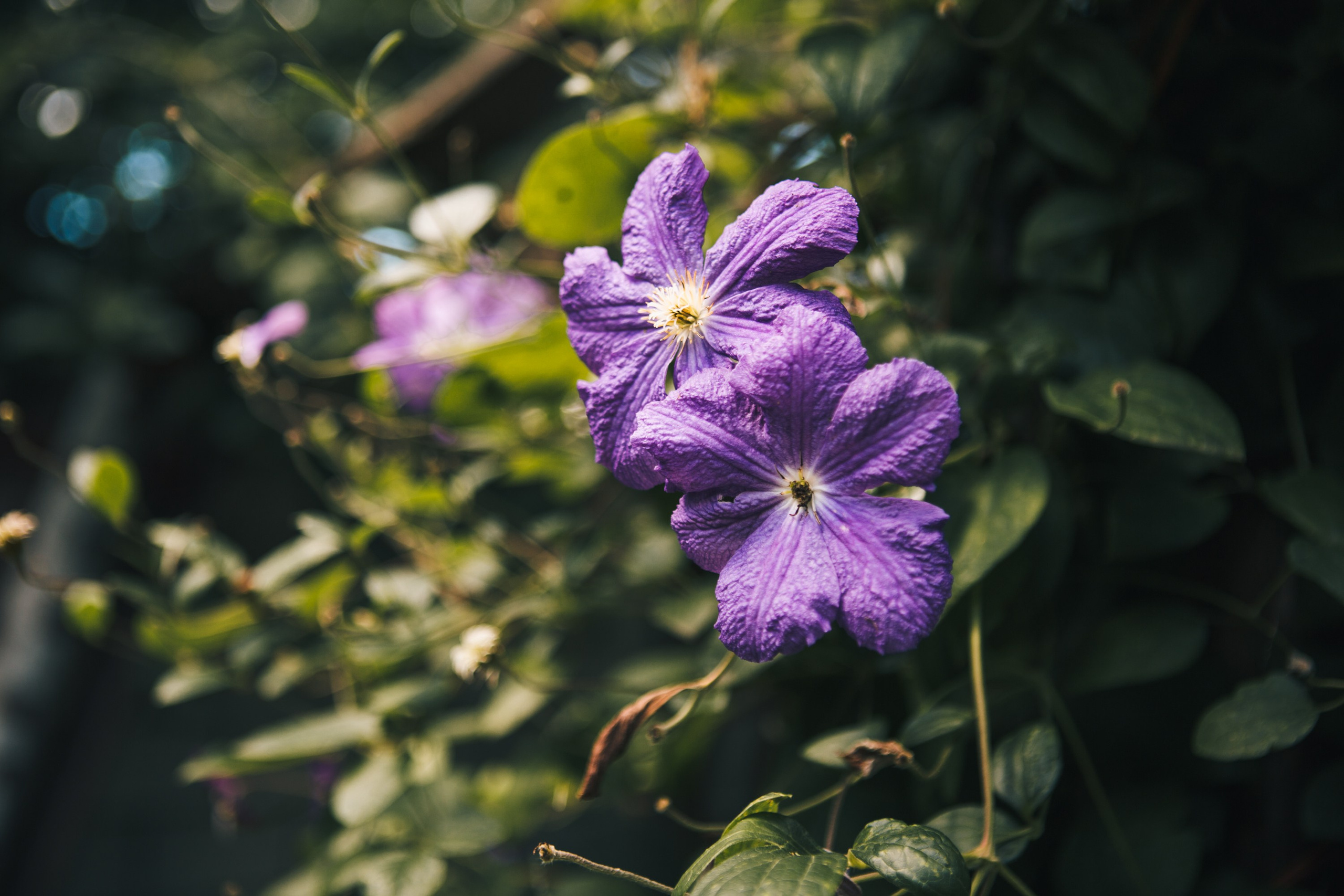 Евгений & Мария. Главная