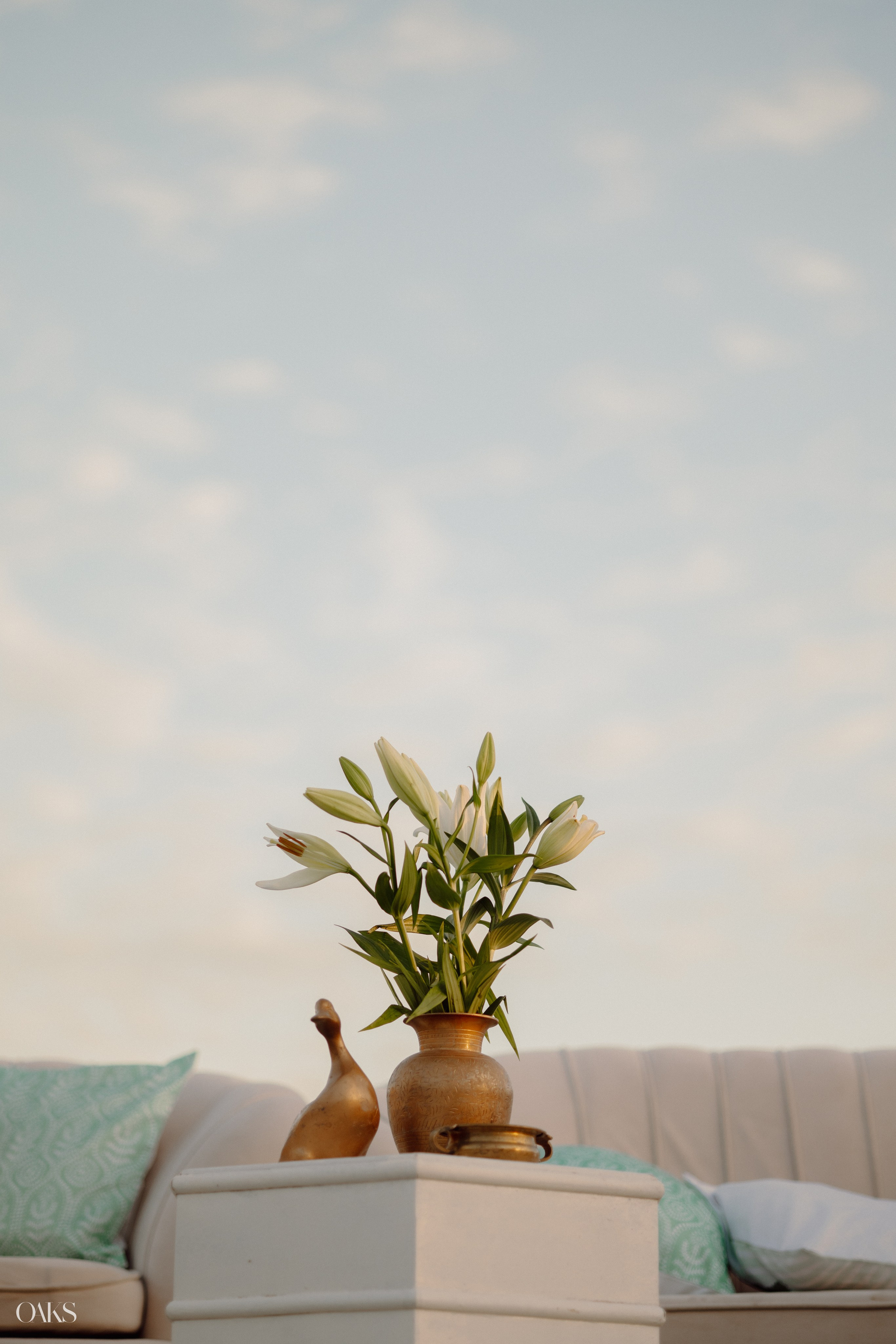 Deepak & Aarushi. Wedding & Editorial Photographer | Anandshivadas