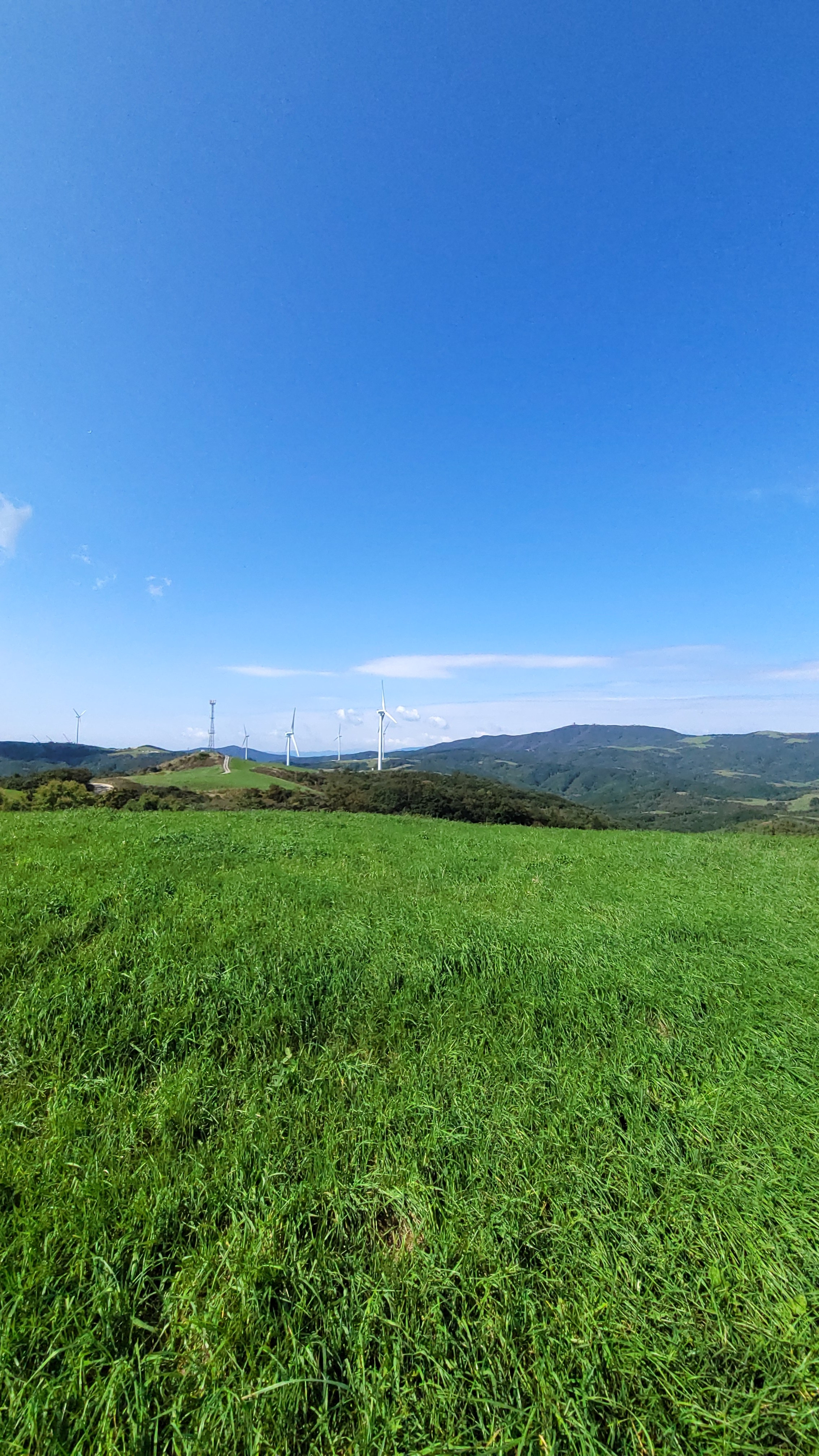 Computer game shooting NETMARBLE — model extra, 01/10/2025. Фотограф в Сеуле, Южная Корея Наталья Доброквашина