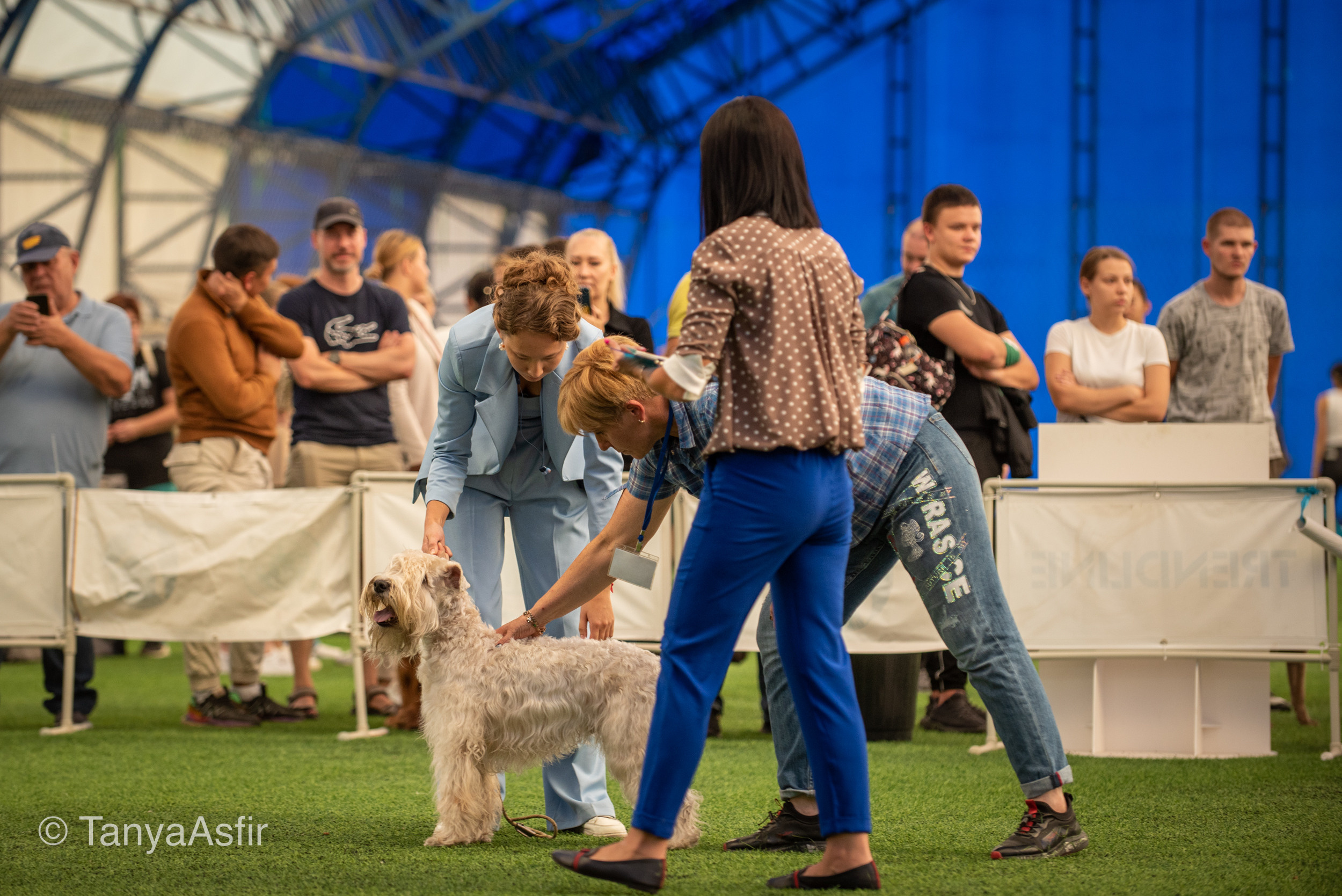 Professional dog photography: agility, frisbee, obedience, IGP. Tanya Asfir — Pet & Animal Photographer | Belgrade, Serbia