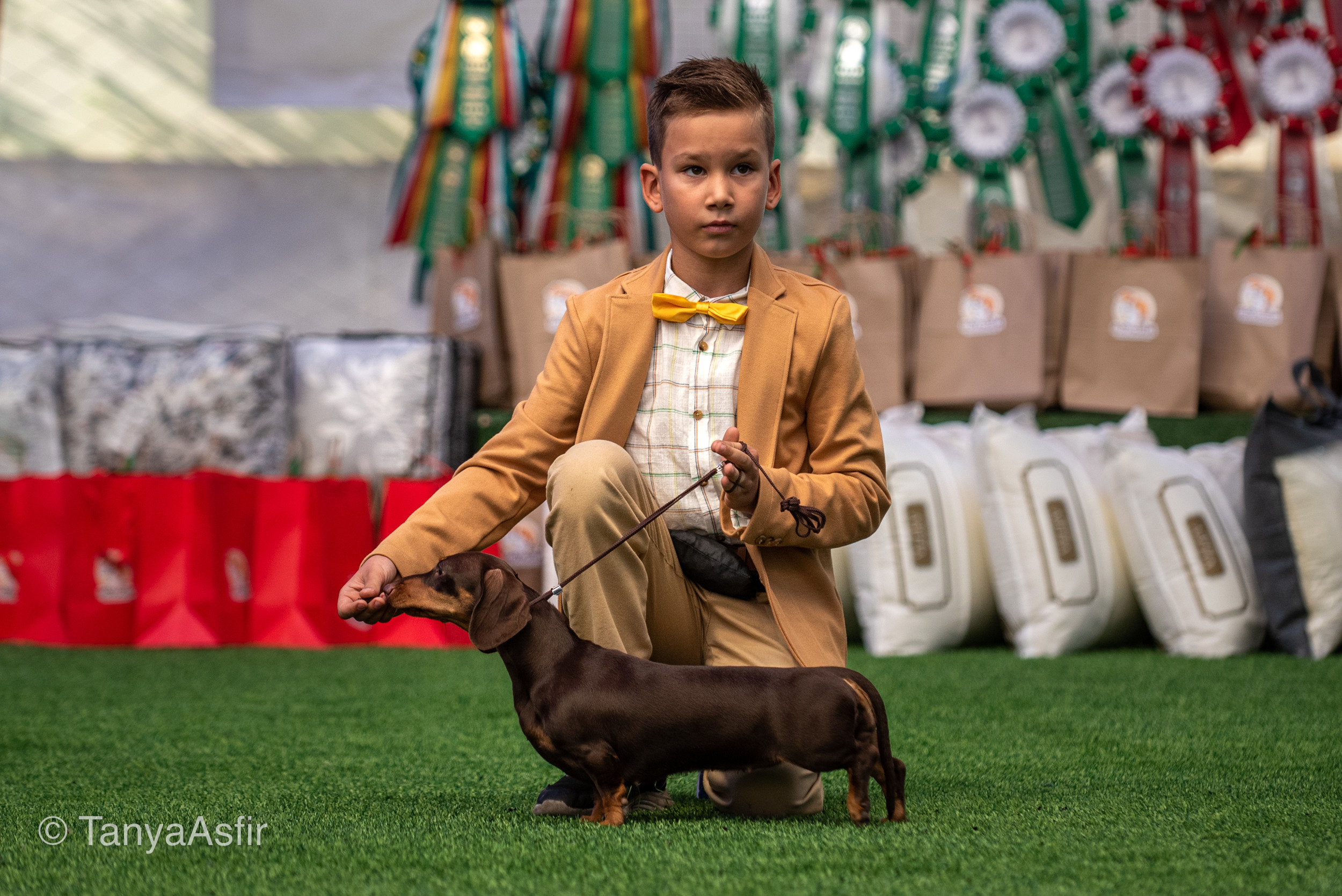 Professional dog photography: agility, frisbee, obedience, IGP. Tanya Asfir — Pet & Animal Photographer | Belgrade, Serbia