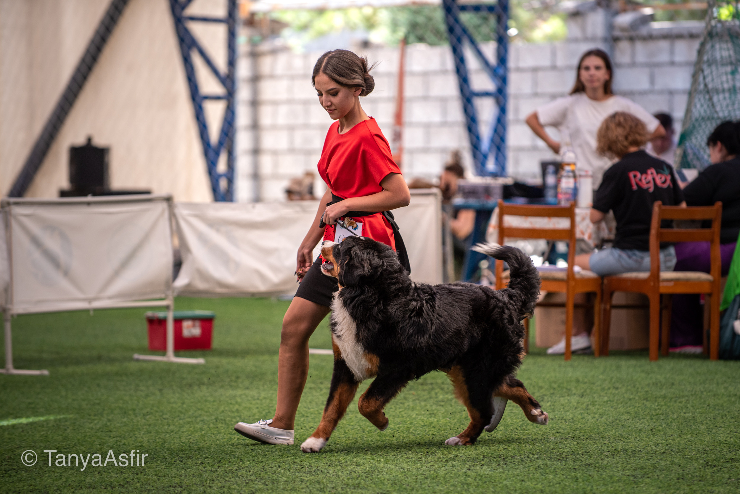 Professional dog photography: agility, frisbee, obedience, IGP. Tanya Asfir — Pet & Animal Photographer | Belgrade, Serbia