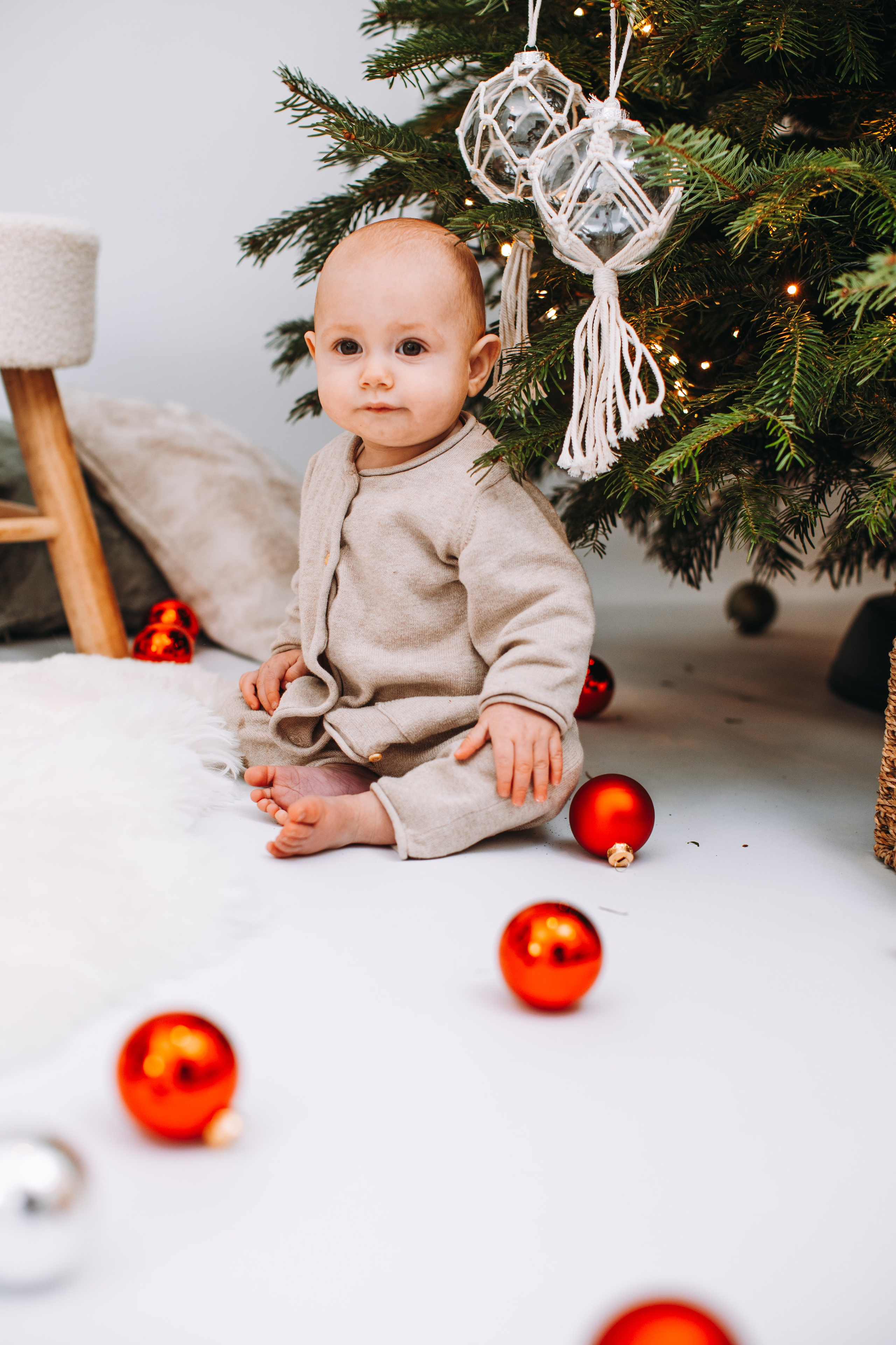 Weihnachtsshooting. Dienstleistungen