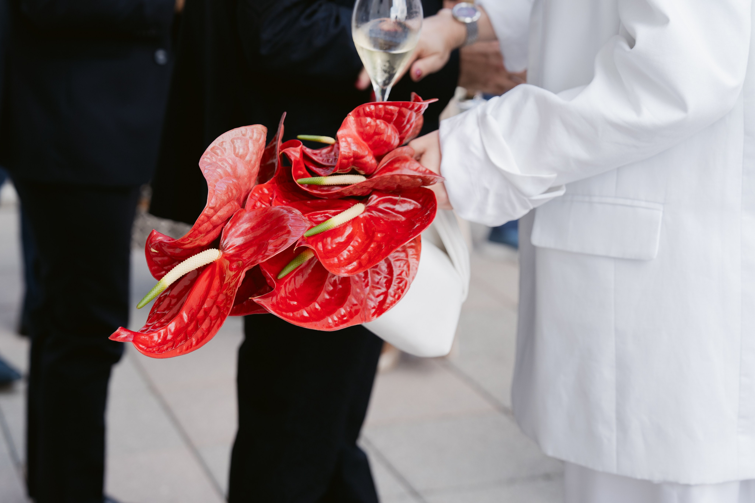 KATE AND CARLO_CASALE MONFERATO. PHOTOGRAPHER IN ITALY