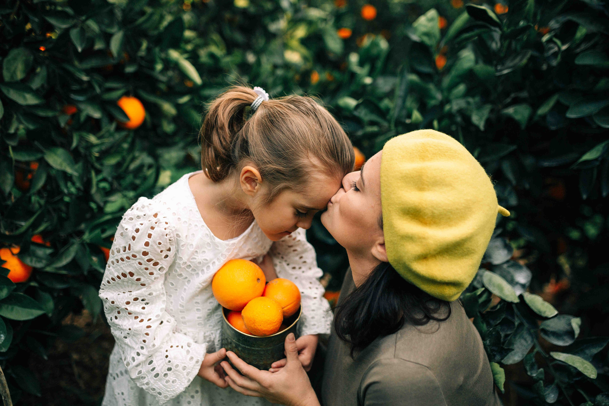 MANDARNINE GARDEN. Https://shi-photo.com/