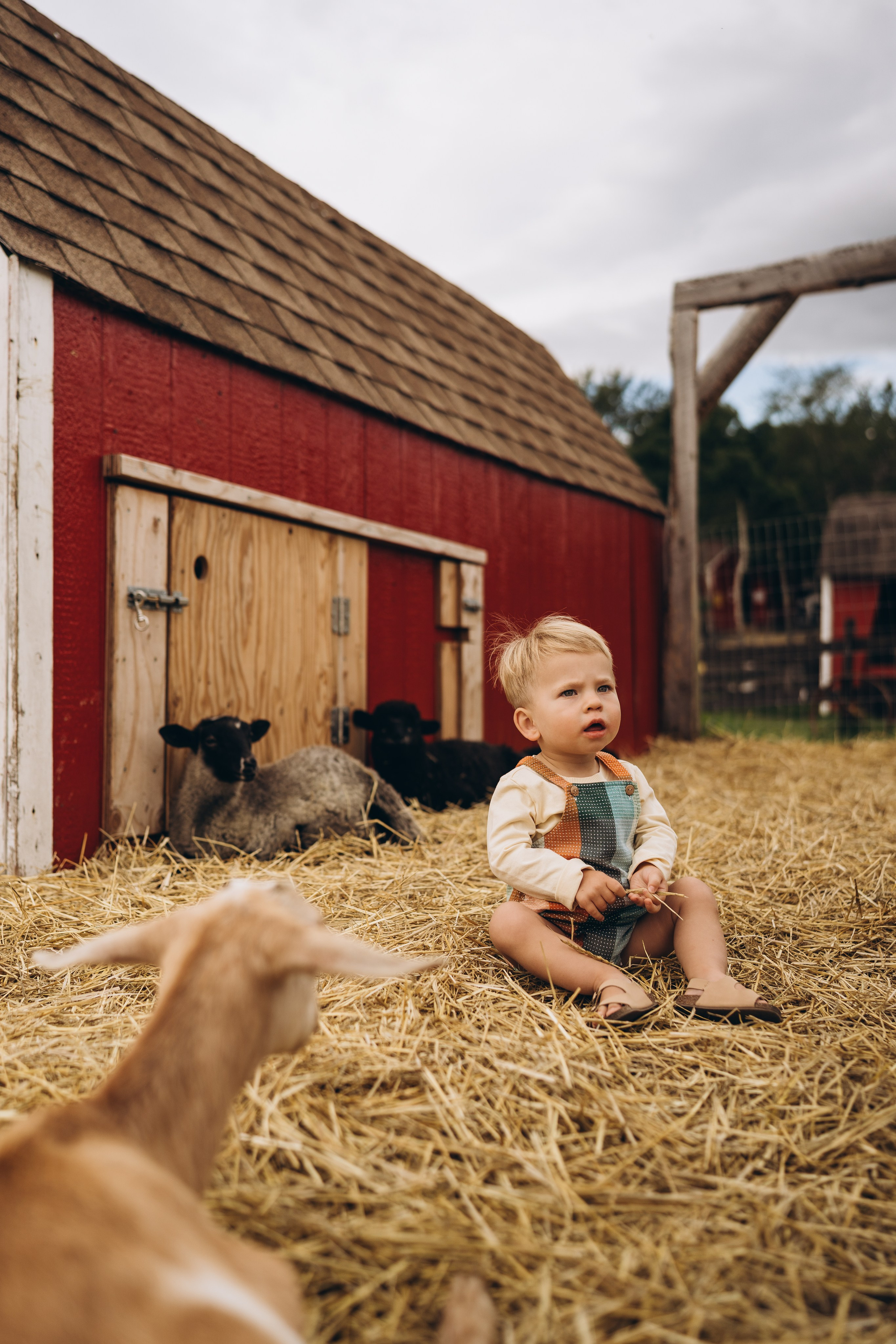 Lev. Calgary Wedding & Lifestyle Photographer — Yevhen Polishchuk