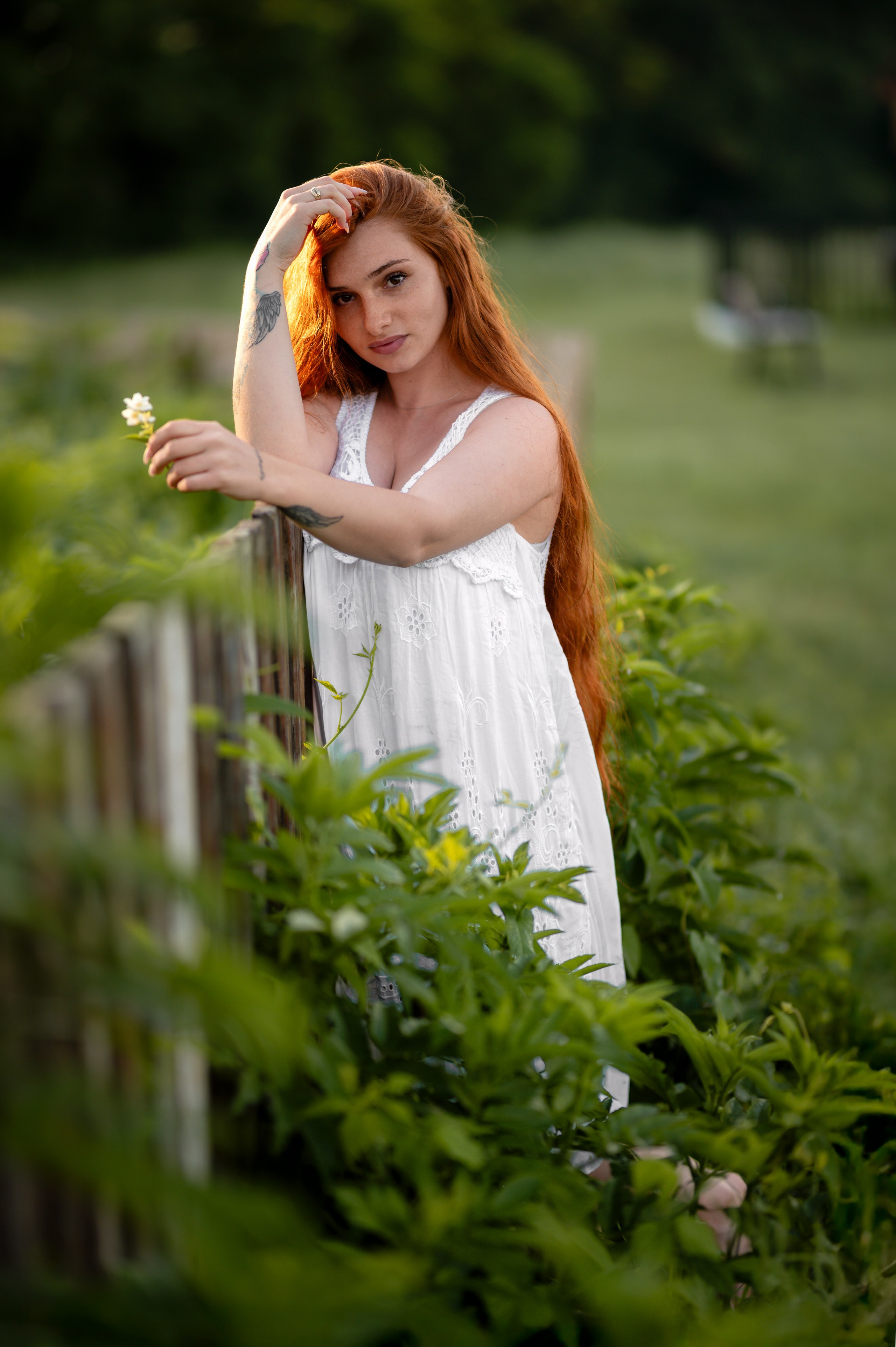 Poveste pe mal de râu. Home