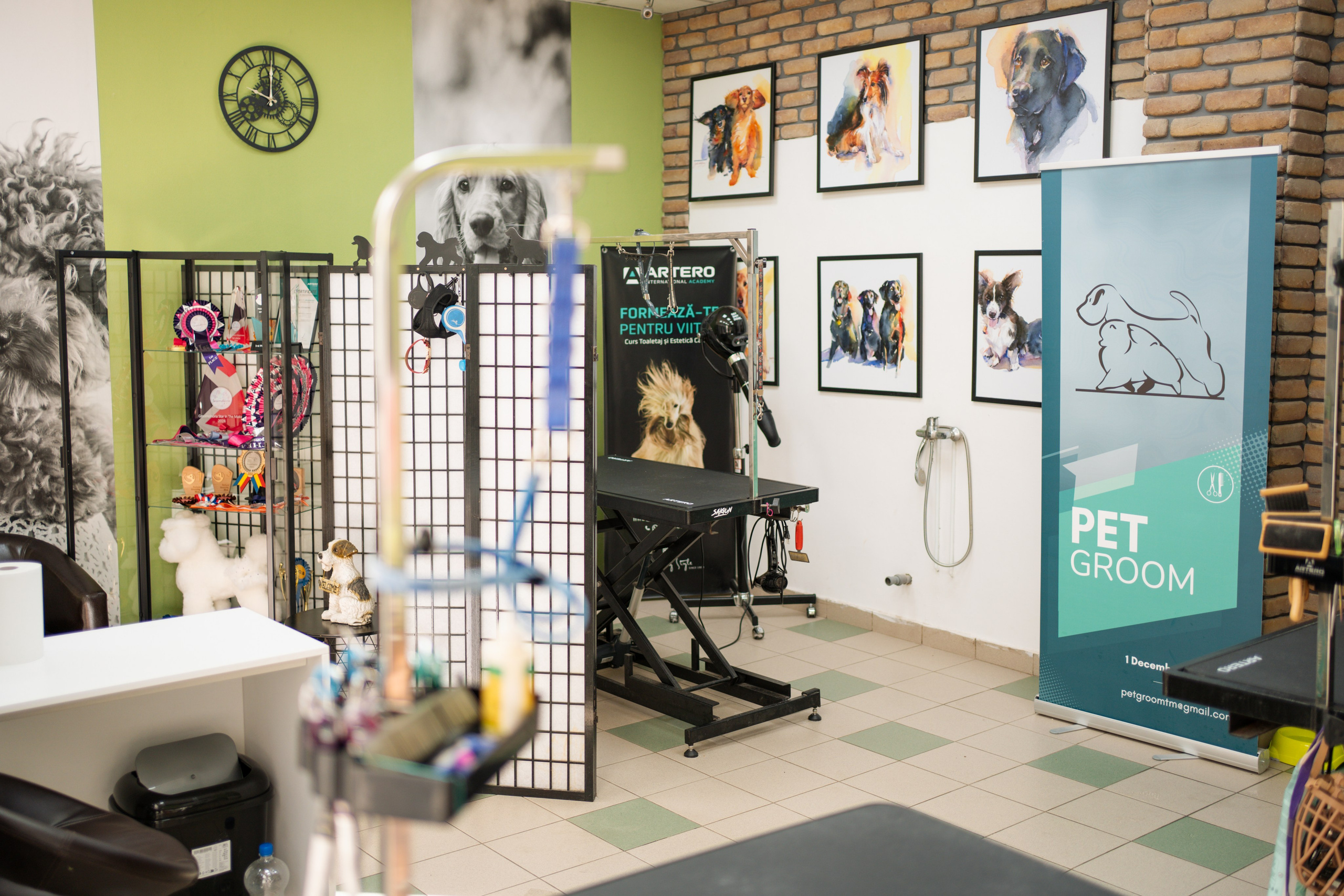 PetGroom Timisoara. Cozac Cristian Photographer