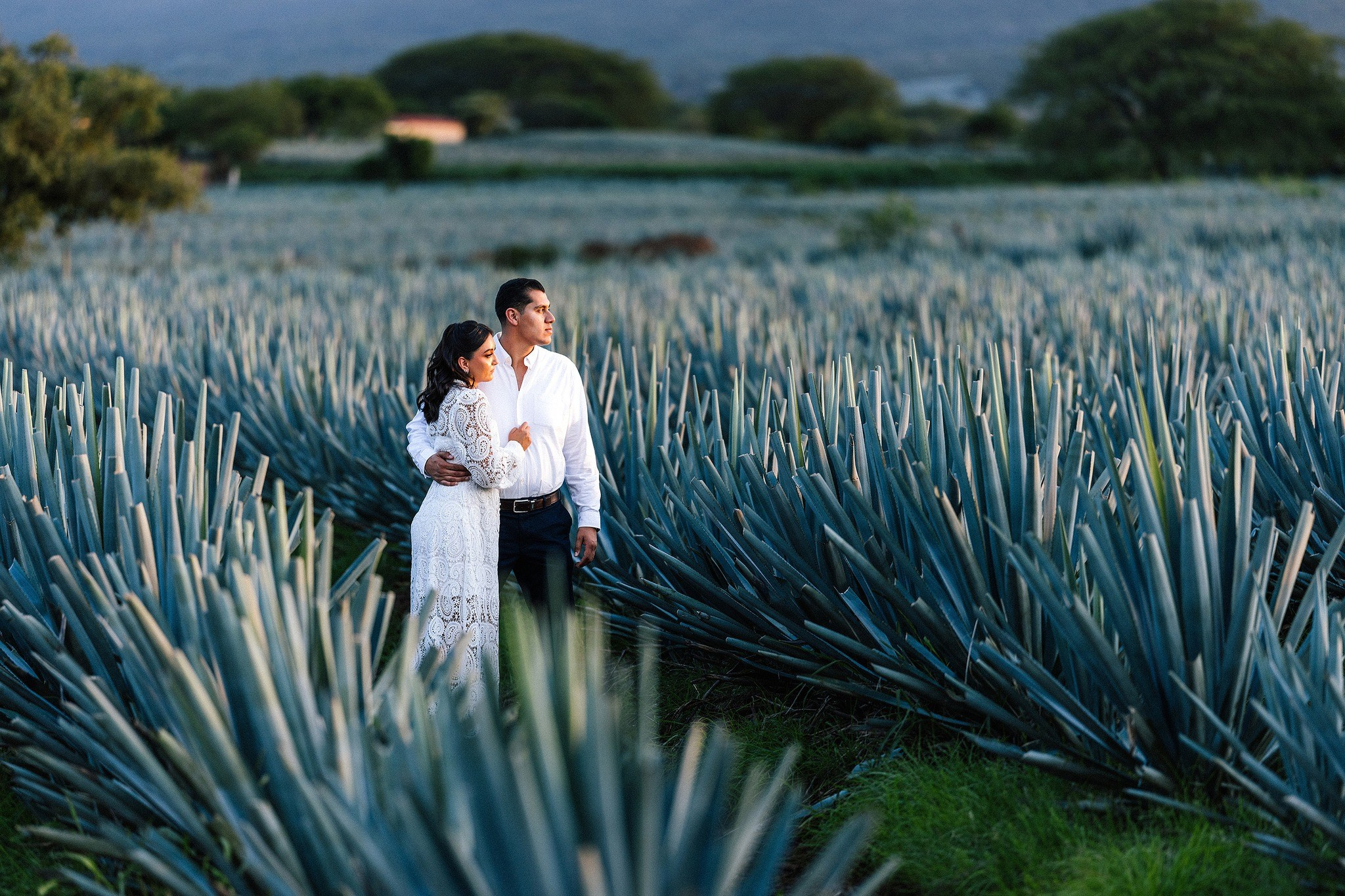 Galería Casual. Jorge Romero Fotógrafo de bodas