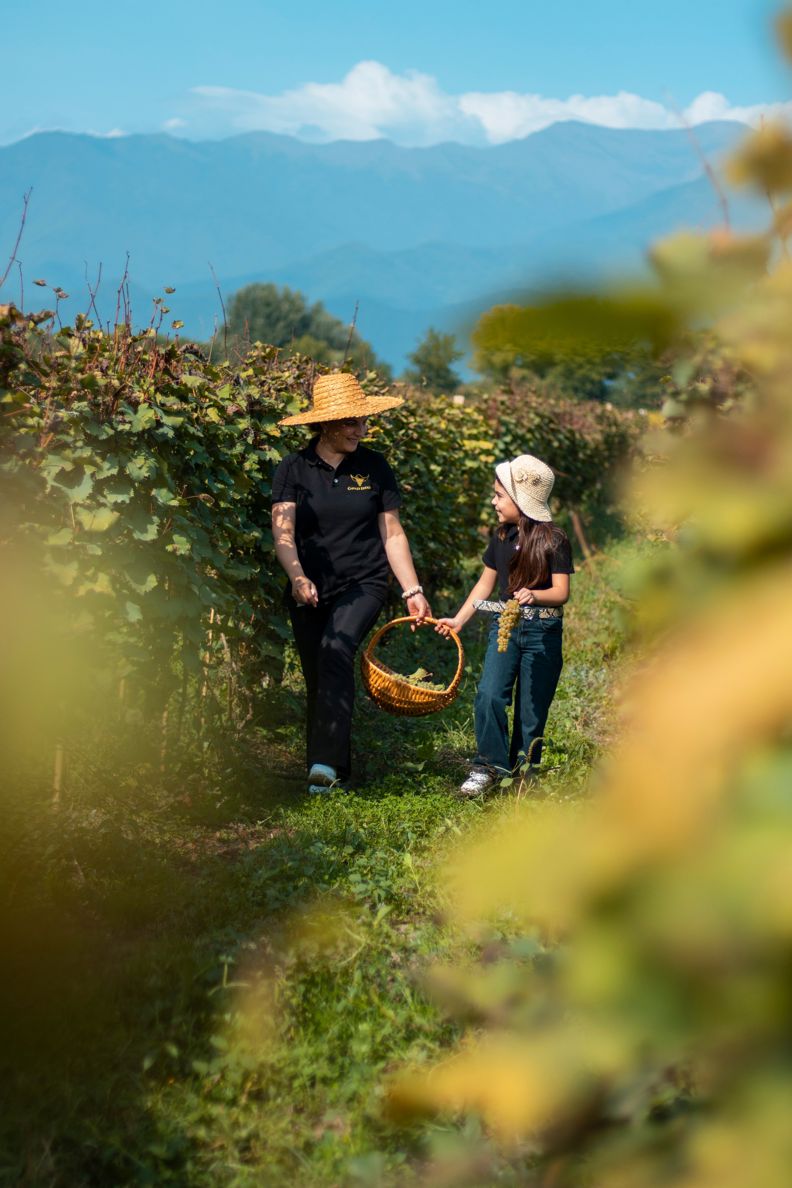 კვება. Clapp Studio