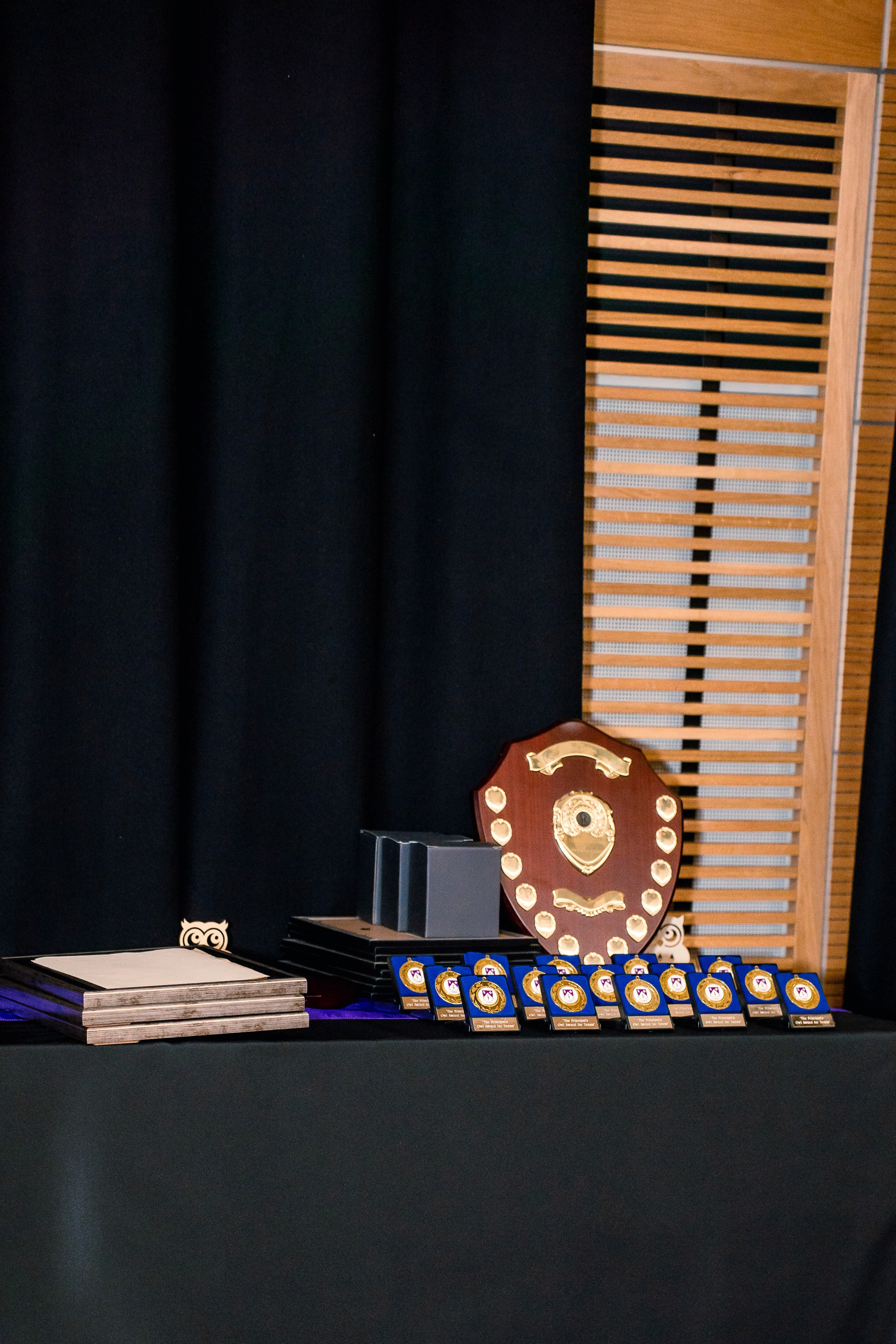 The Owl Society. Expect Miracles Photography