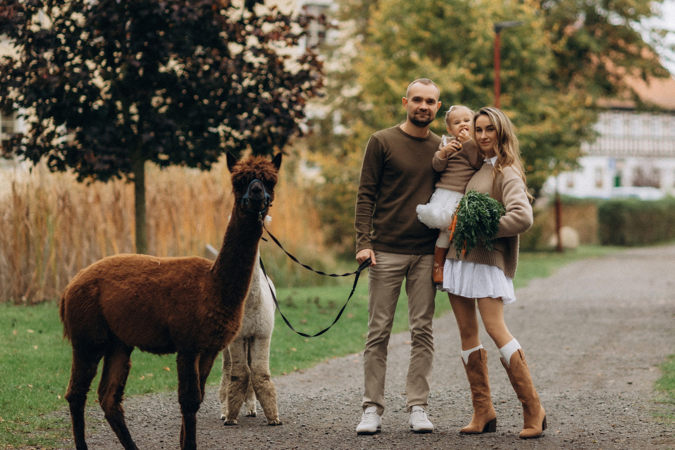 Семейная фотосессия с альпаками. Семейный фотограф Лейпциг, Германия