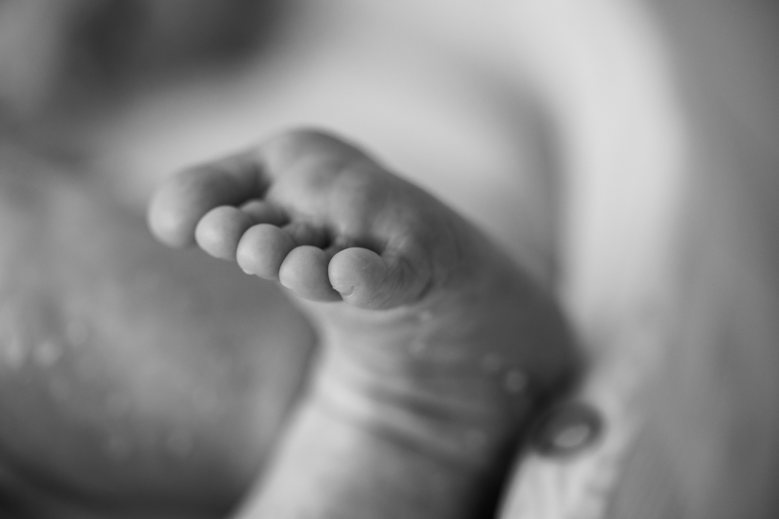 Newborn focení, Novorozenecké focení. Svatební fotograf a kameraman v Česku a po celé Evropě — Teplice, Ústí nad Labem, Praha, Drážďany